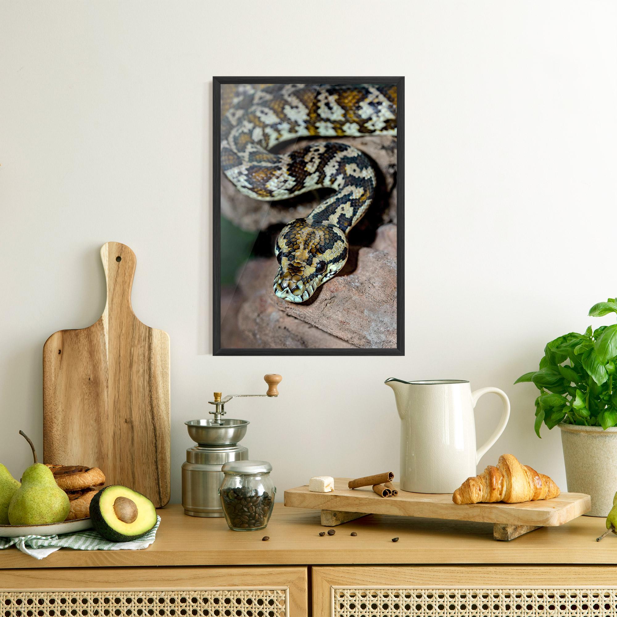 Plakat w Ramie King Snake mockup 8