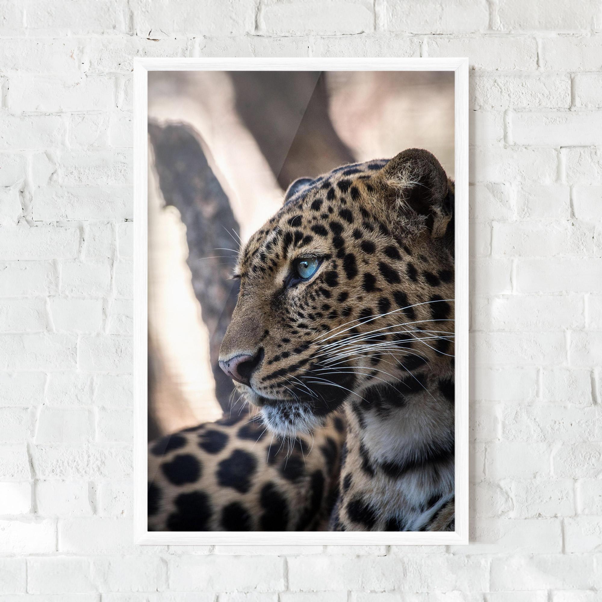 Plakat w Ramie Blue Tiger mockup 0