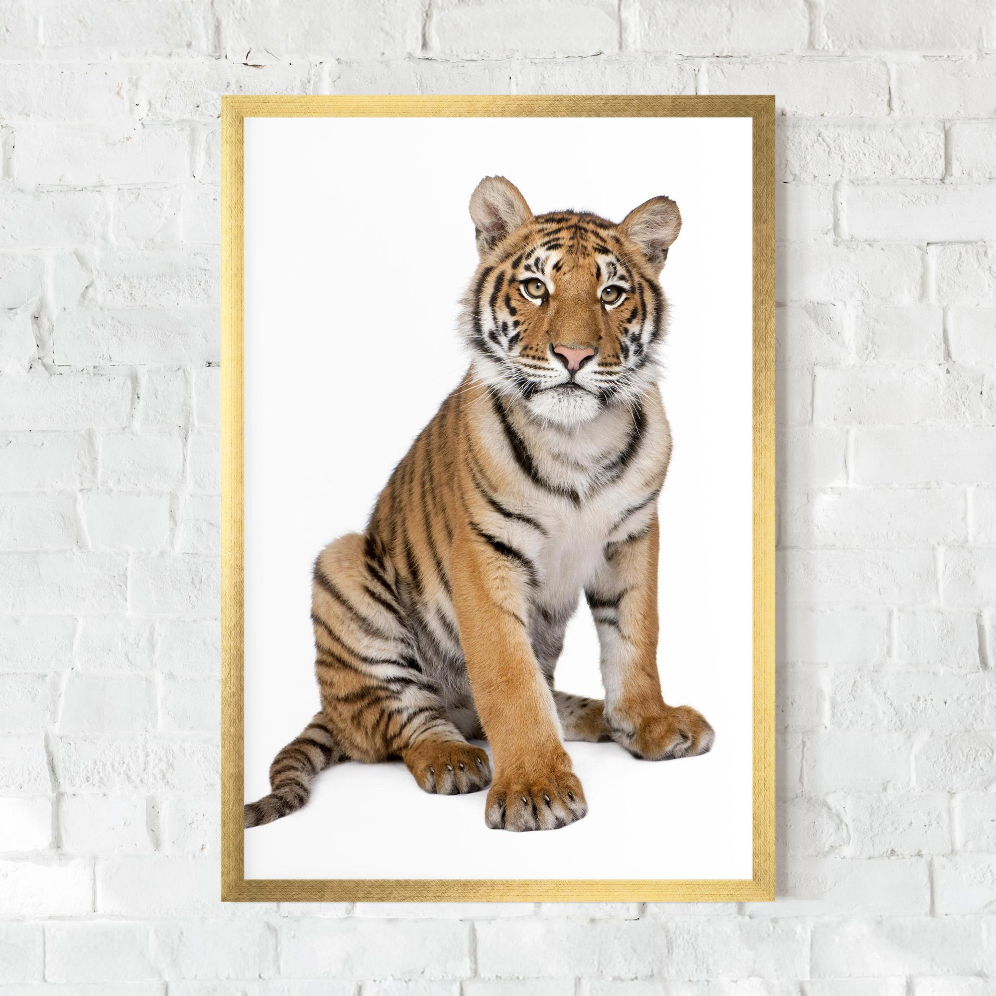 Plakat w Ramie Baby Tiger mockup 0