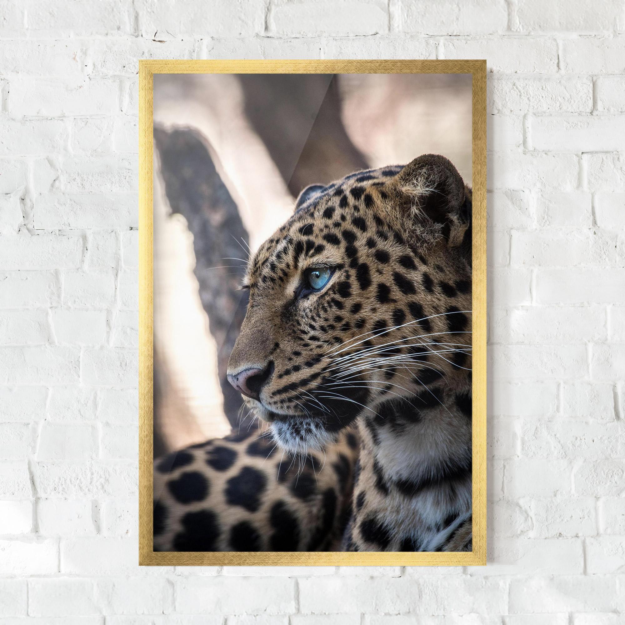 Plakat w Ramie Blue Tiger mockup 0