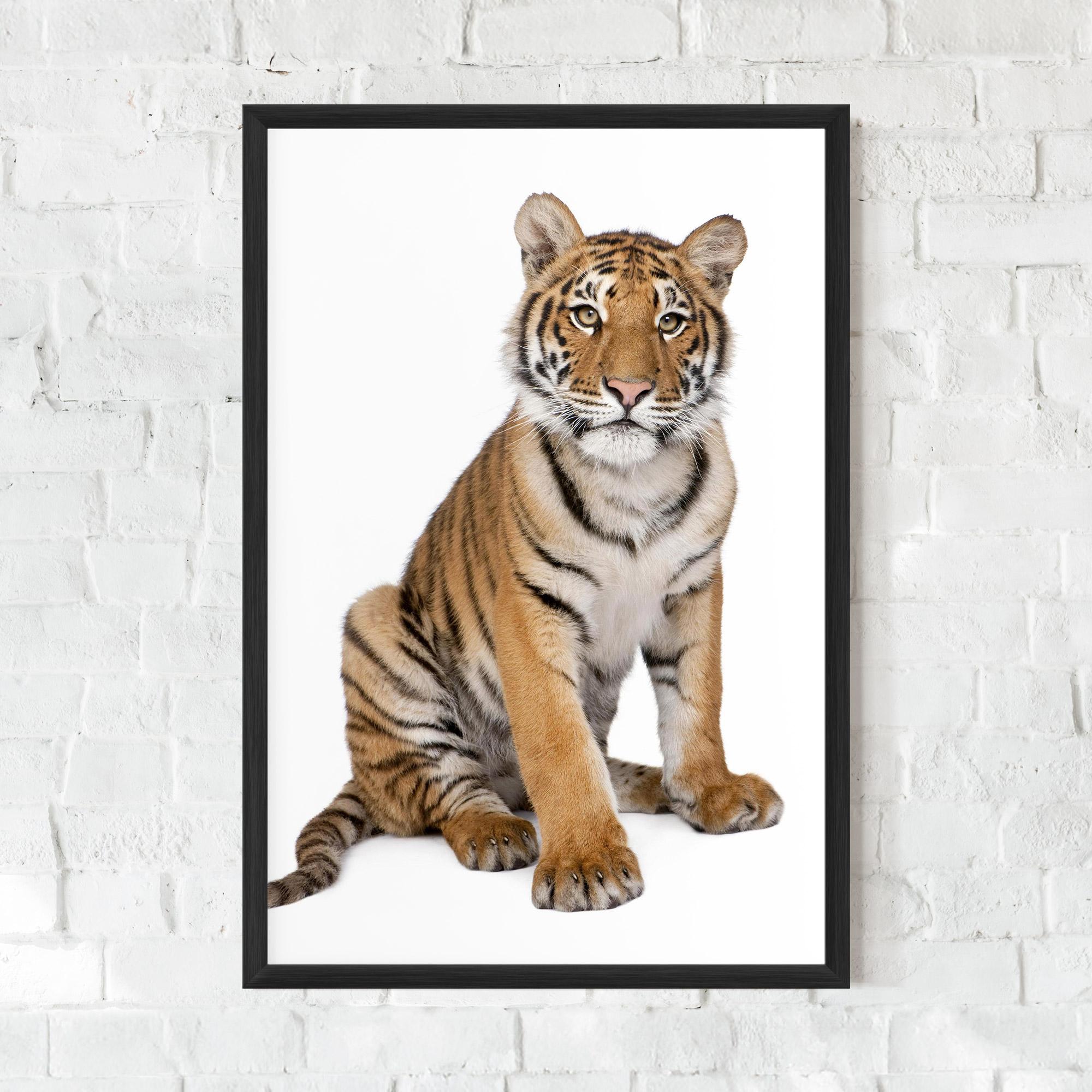 Plakat w Ramie Baby Tiger mockup 0