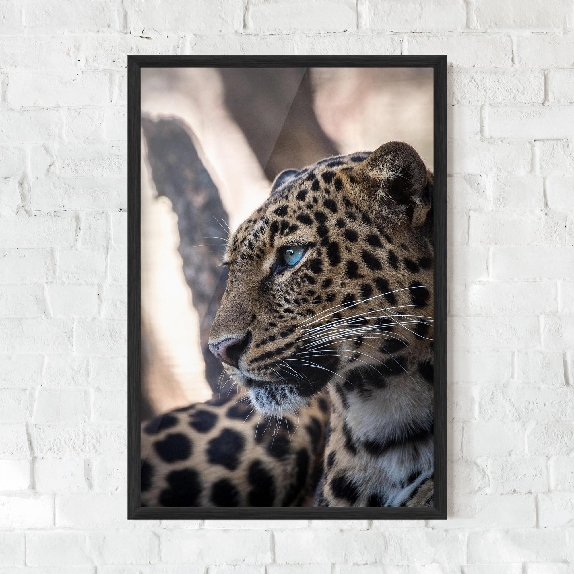 Plakat w Ramie Blue Tiger mockup 0