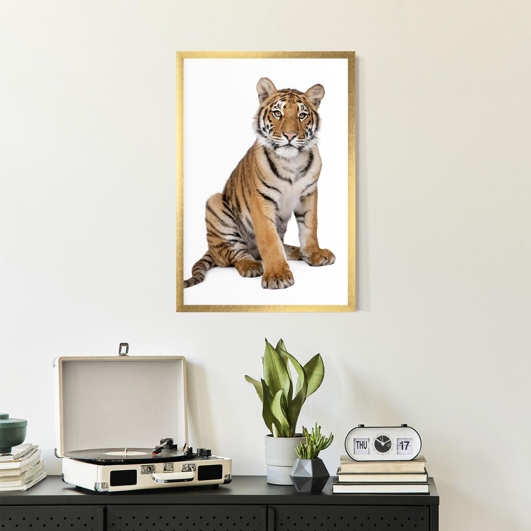 Plakat w Ramie Baby Tiger mockup 2