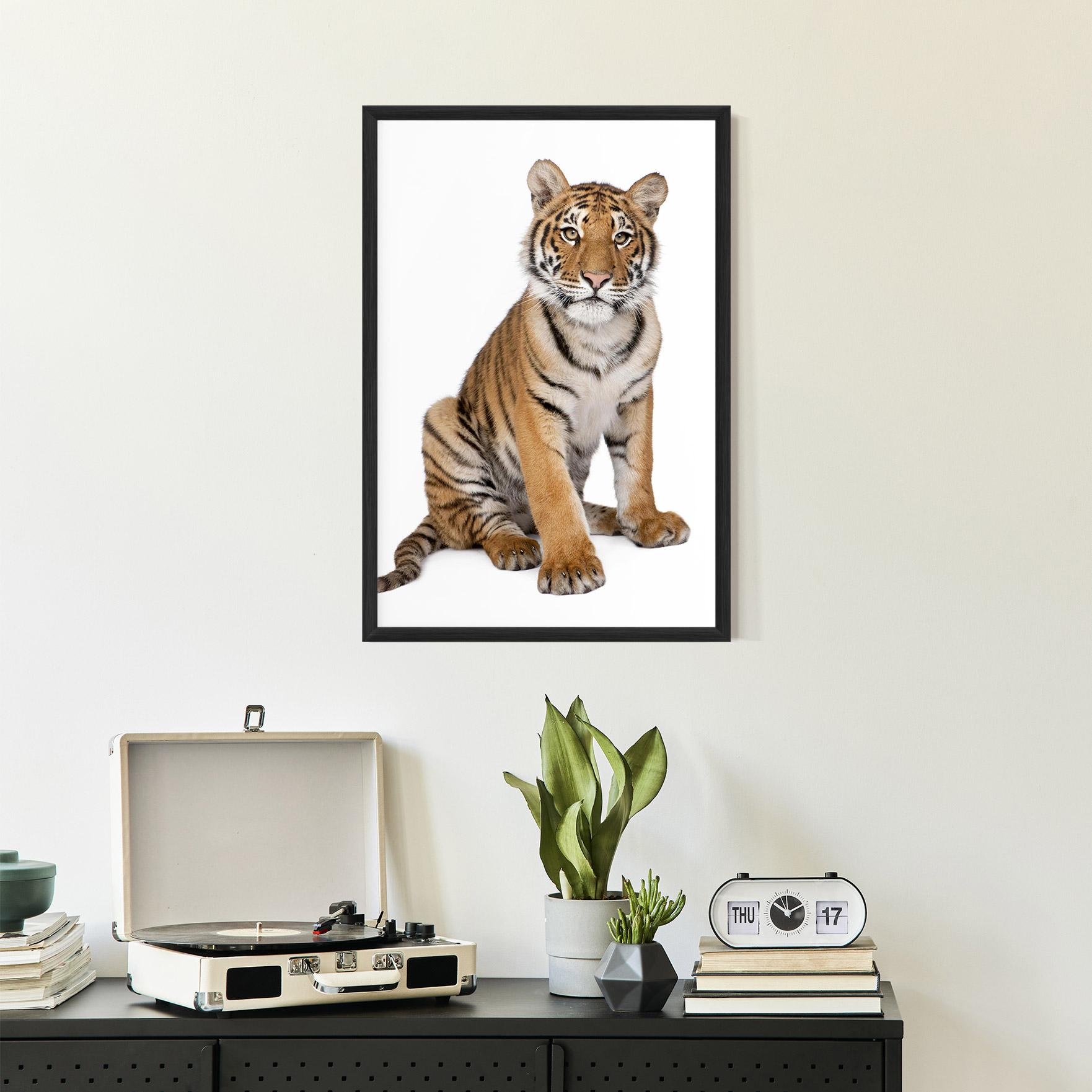 Plakat w Ramie Baby Tiger mockup 2