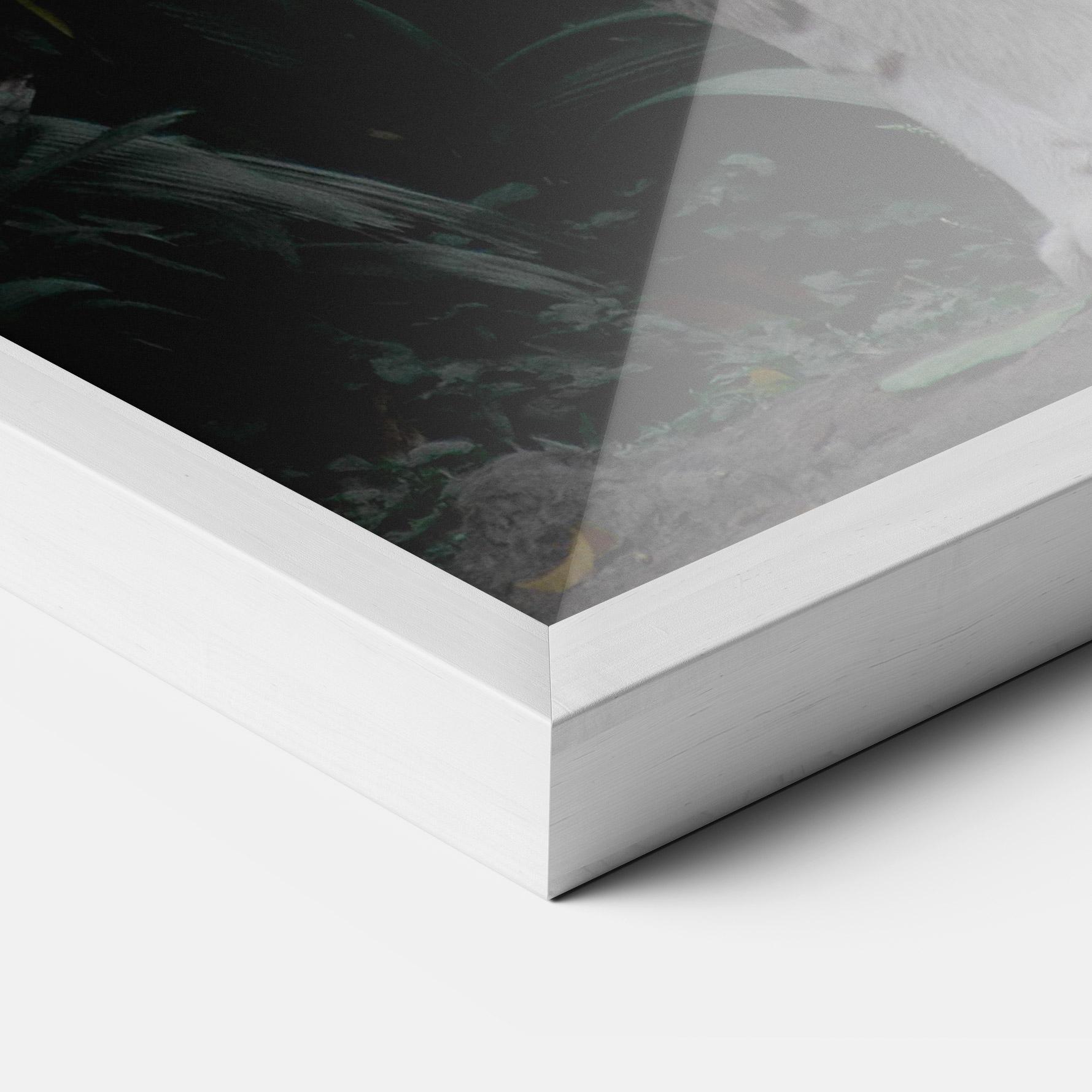 Plakat w Ramie White Tiger mockup 3