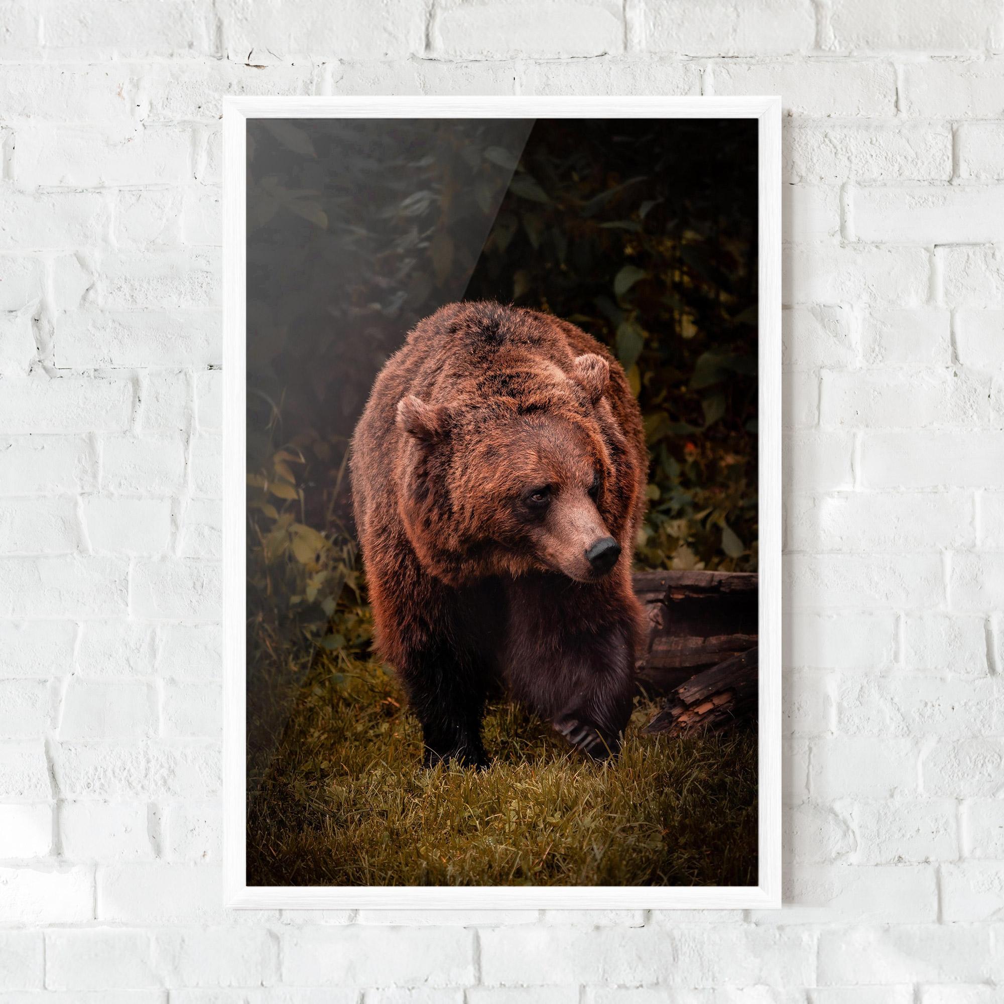 Plakat w Ramie Brown Bear mockup 0