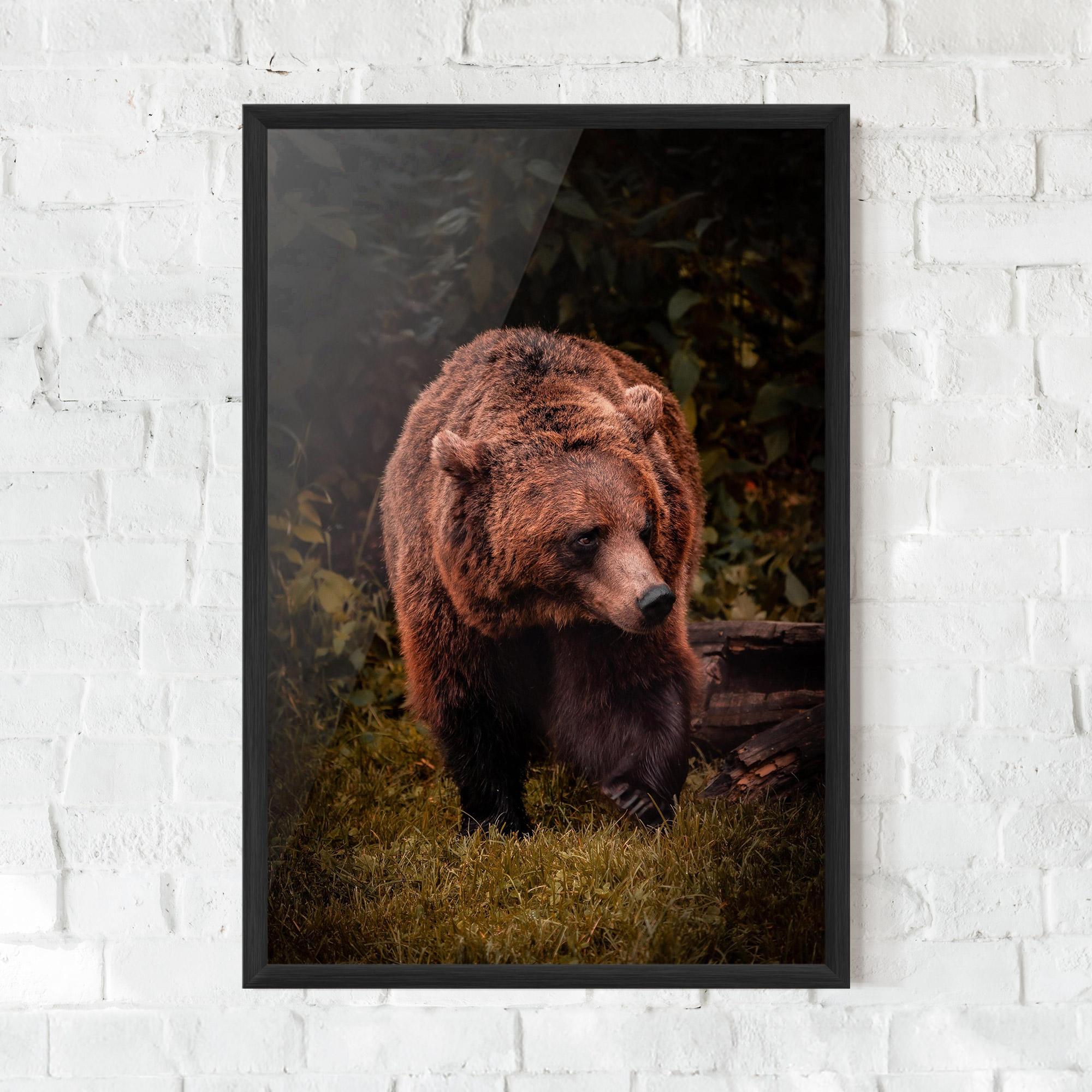 Plakat w Ramie Brown Bear mockup 0