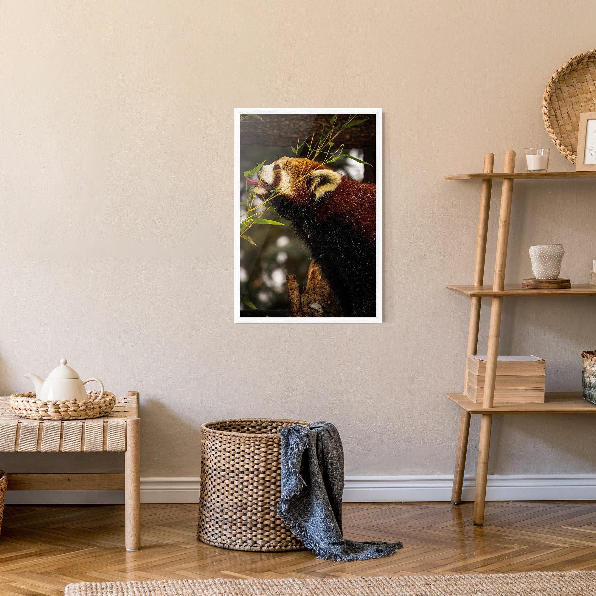 Plakat w Ramie Red Panda mockup 9