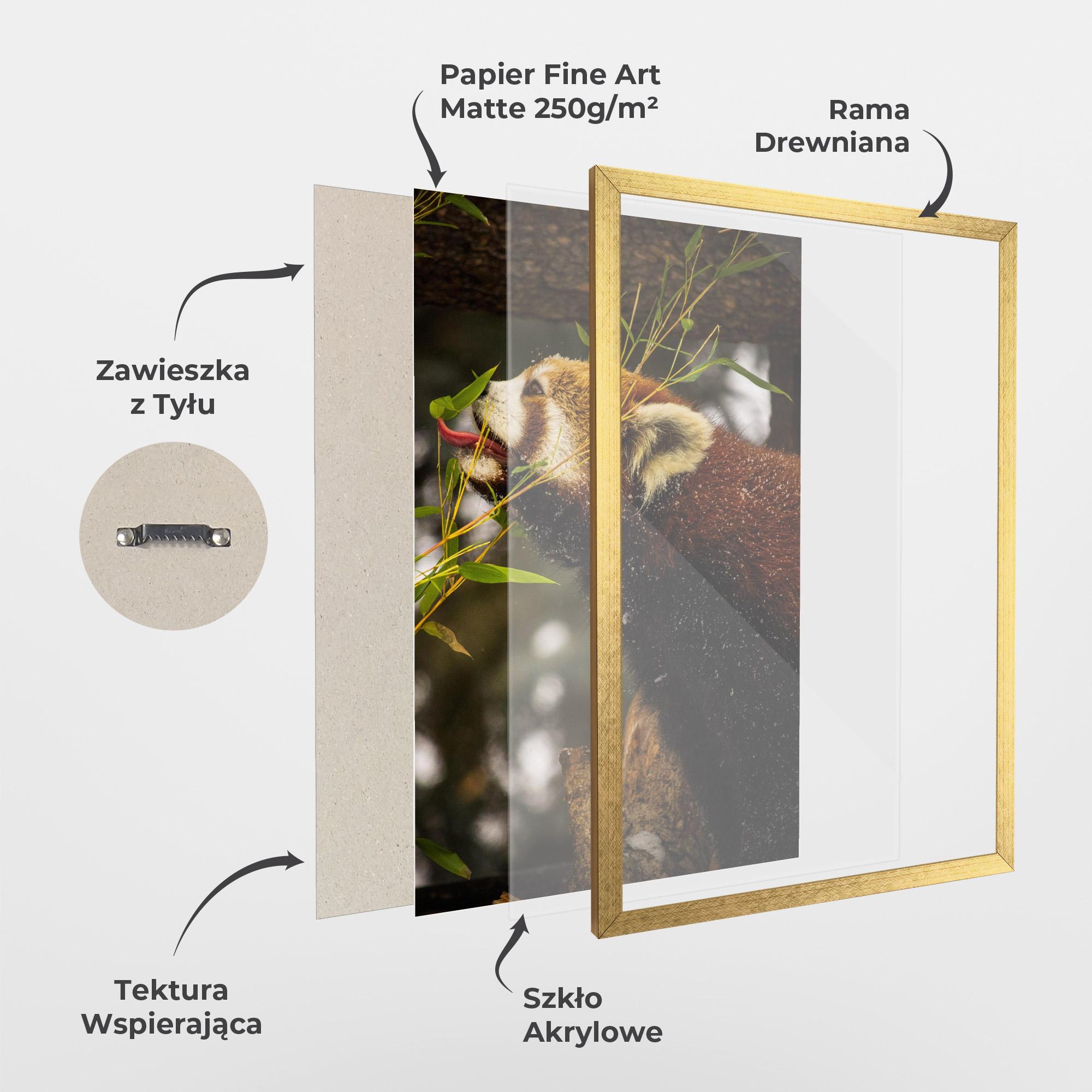 Plakat w Ramie Red Panda mockup 1