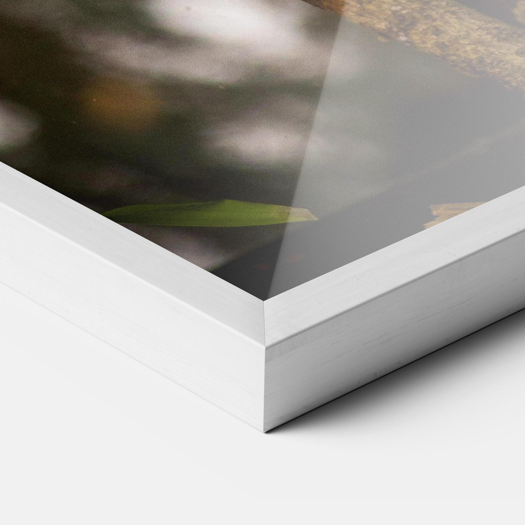 Plakat w Ramie Red Panda mockup 3