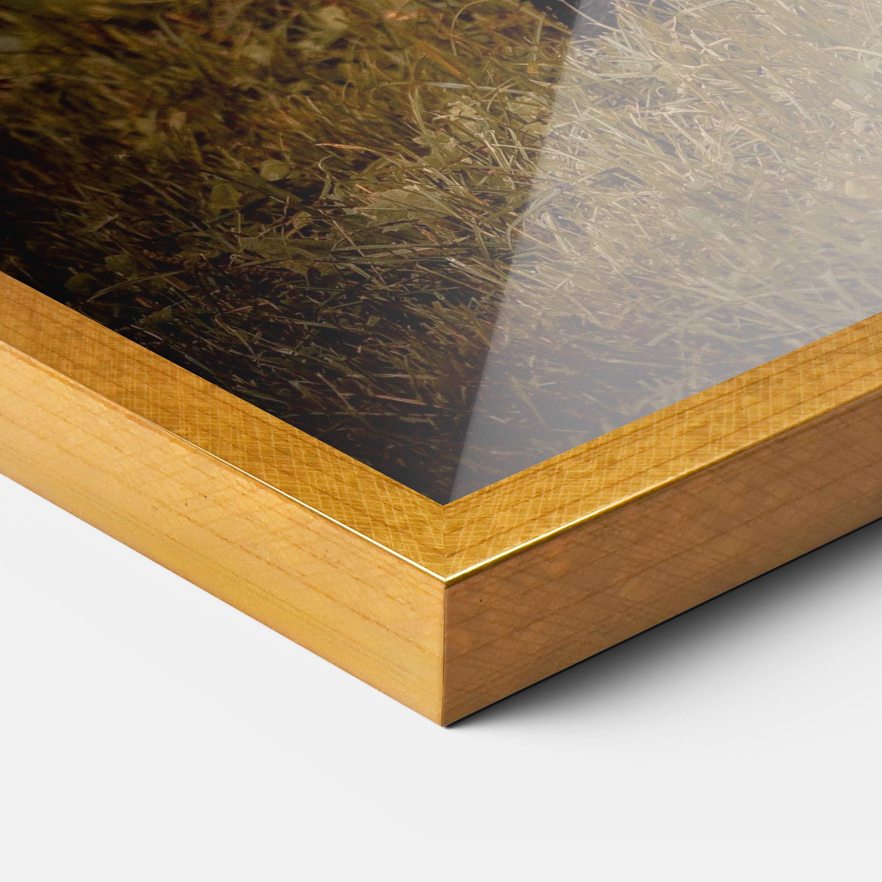 Plakat w Ramie Brown Bear mockup 3