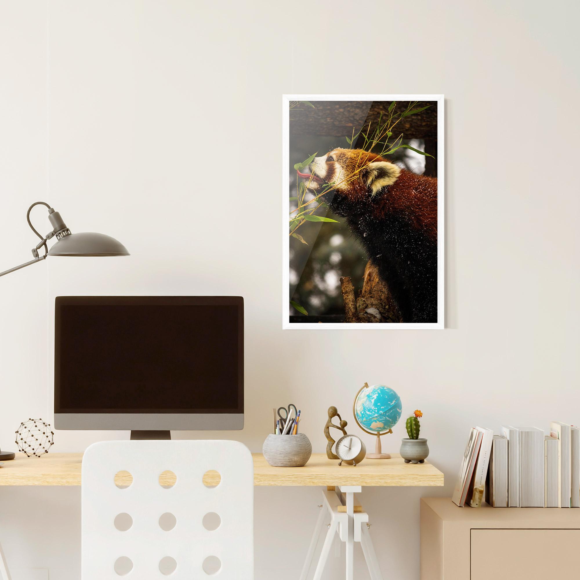 Plakat w Ramie Red Panda mockup 6