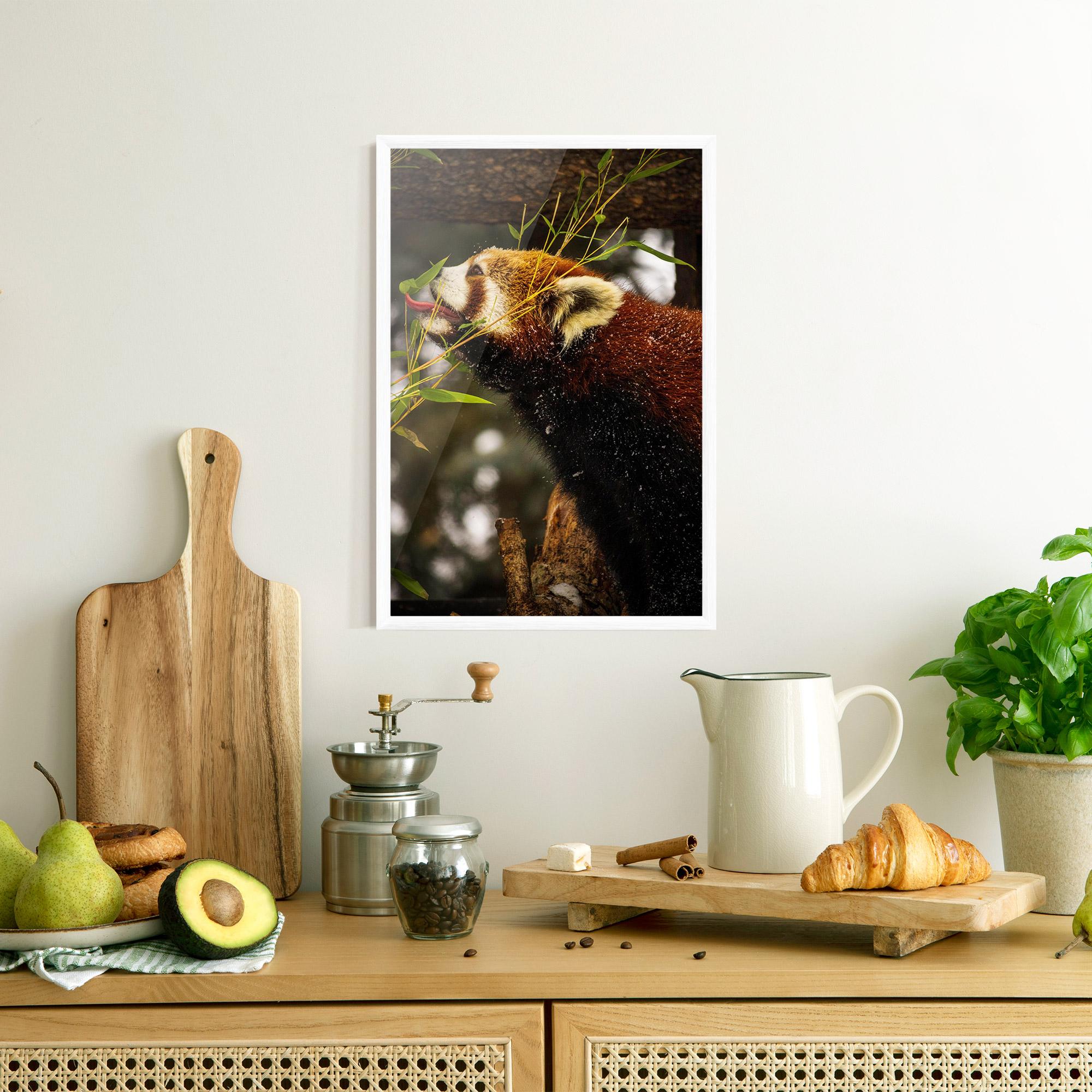Plakat w Ramie Red Panda mockup 8