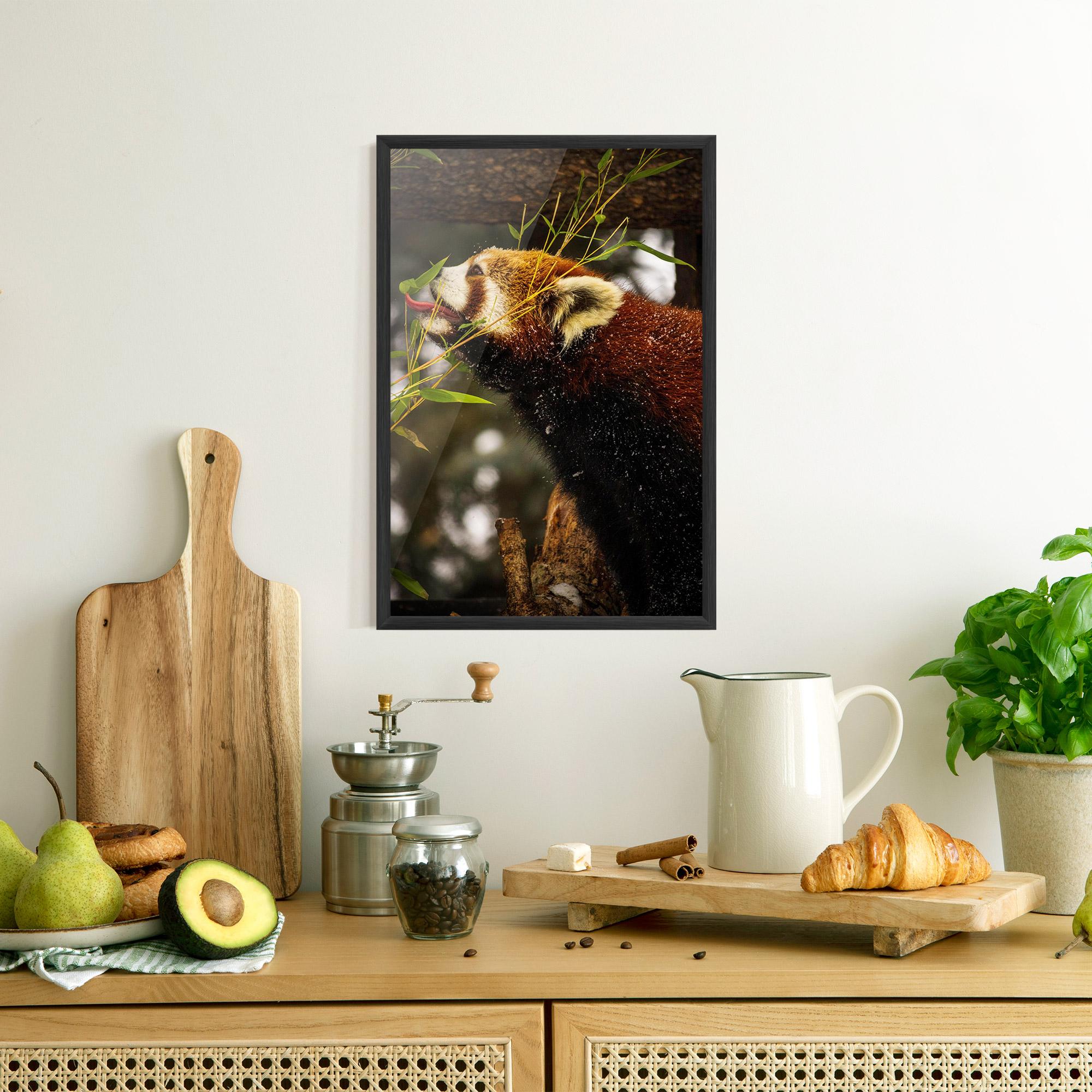 Plakat w Ramie Red Panda mockup 8