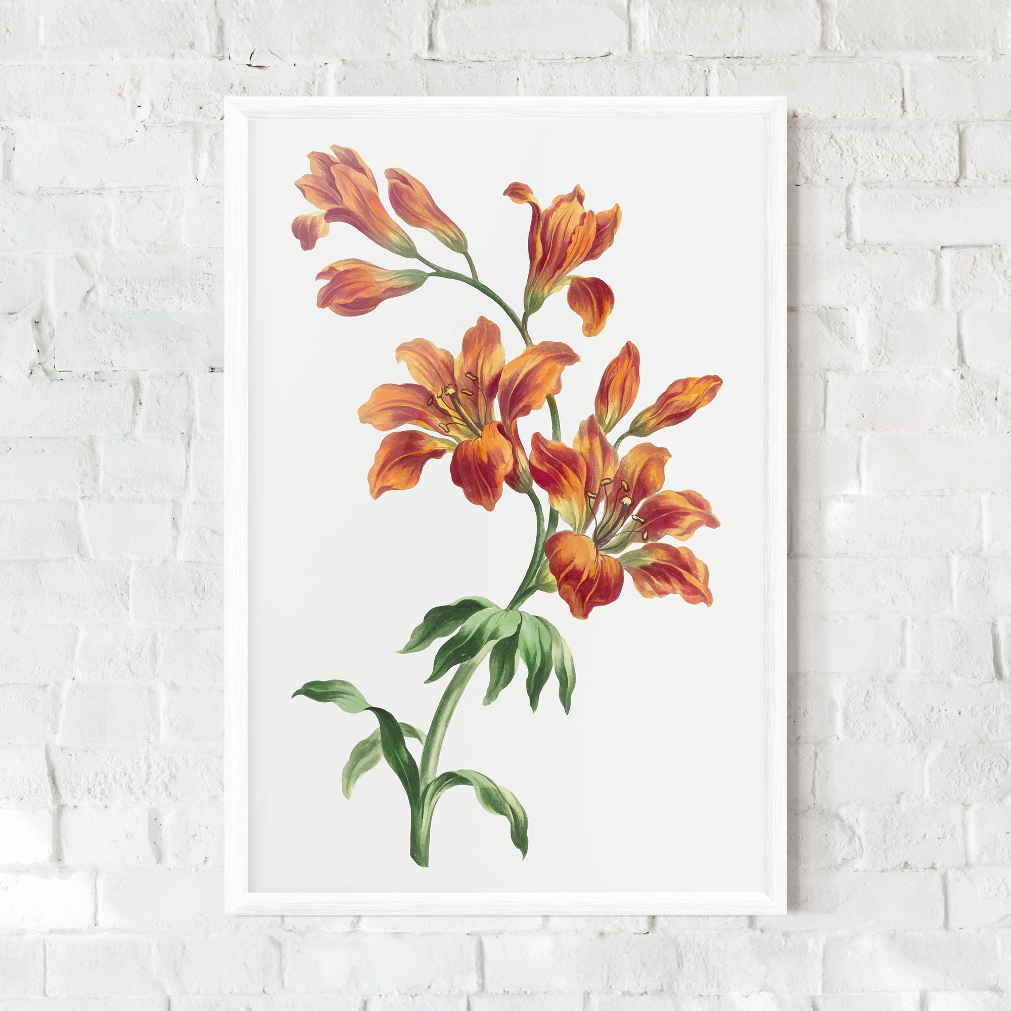 Orange Painted Lily mockup 0