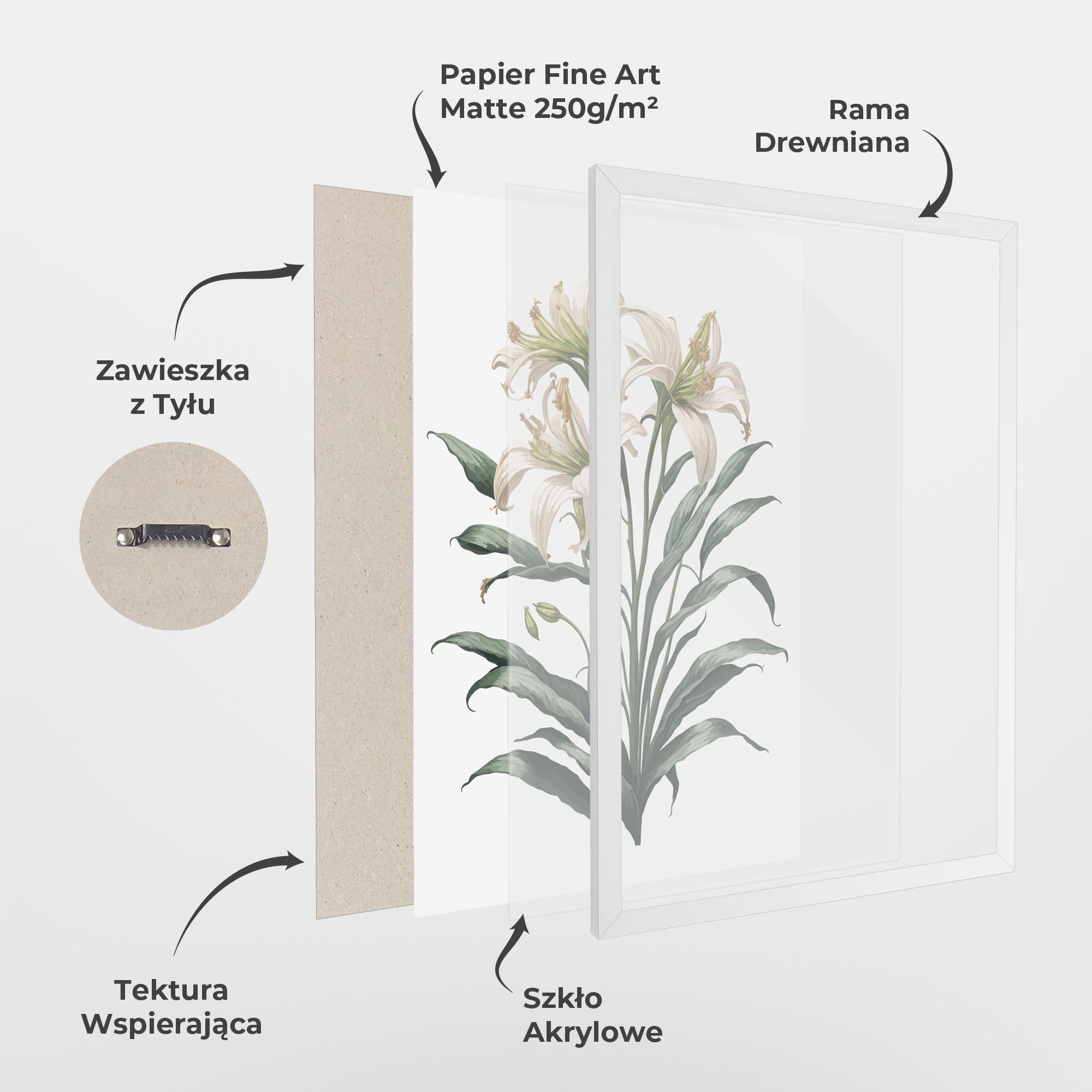 Plakat w Ramie Columbia Lily mockup 1