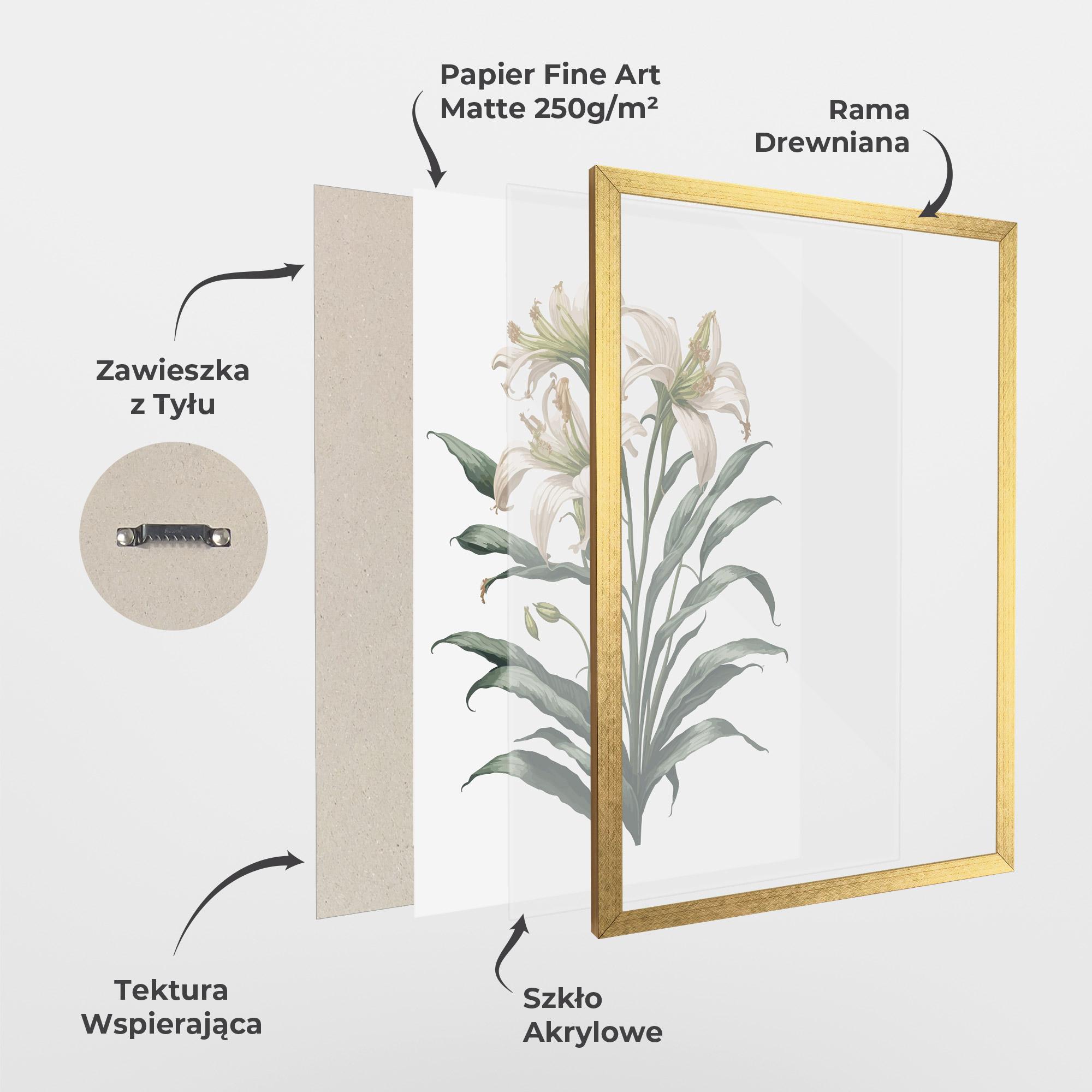 Plakat w Ramie Columbia Lily mockup 1