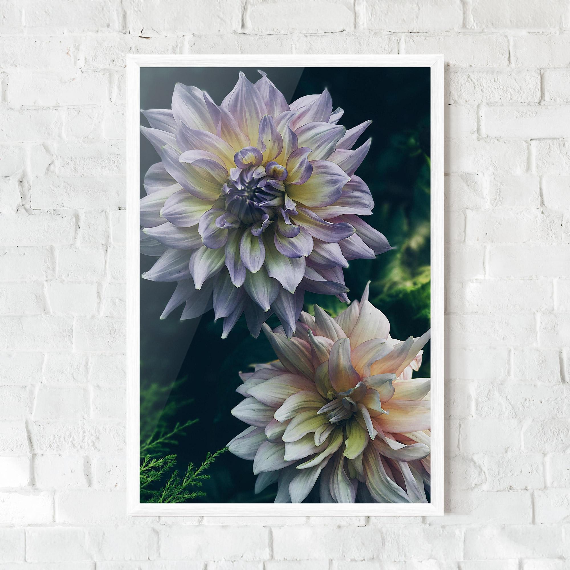 Plakat w Ramie Dahlia Flowers mockup 0