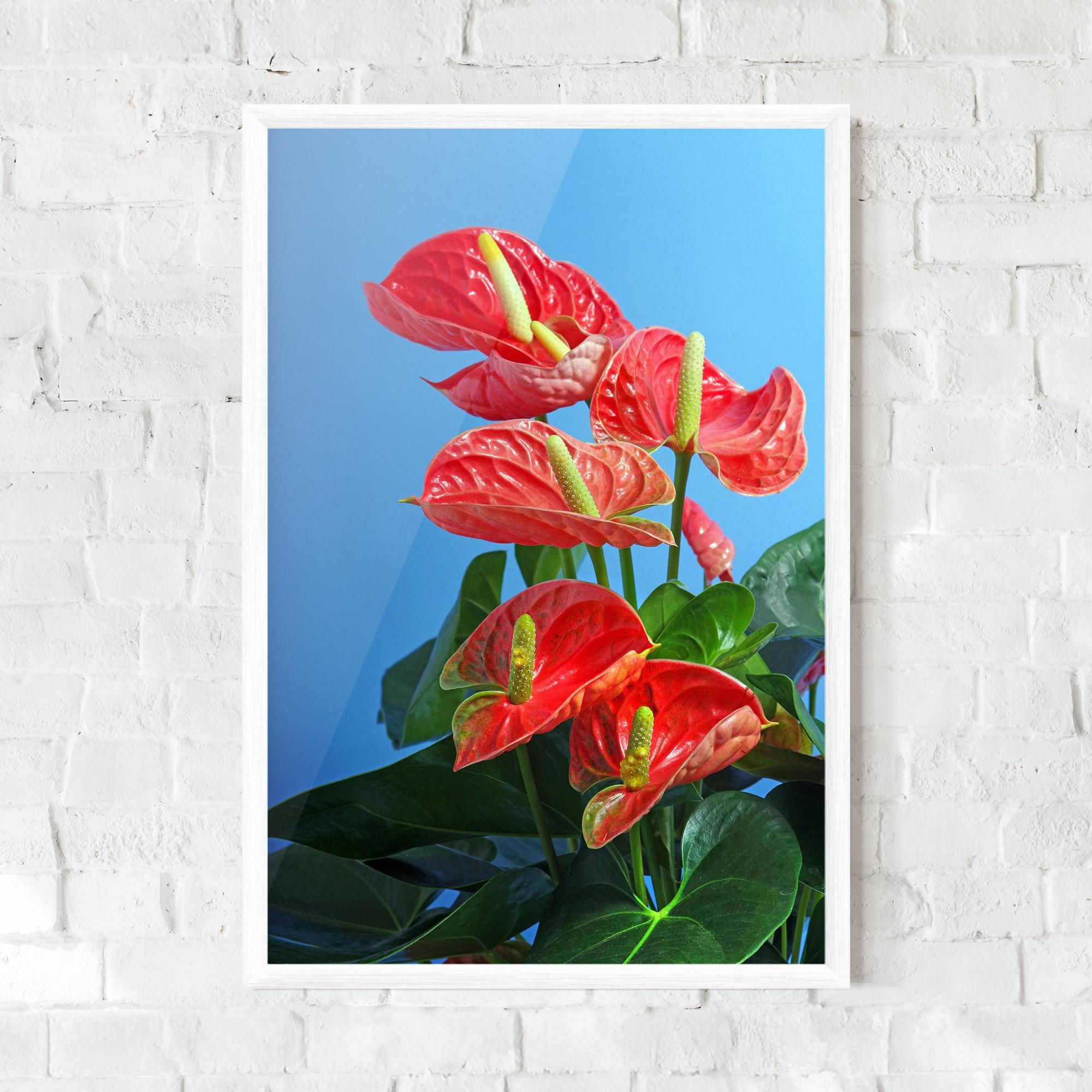 Plakat w Ramie Red Green Exotic mockup 0