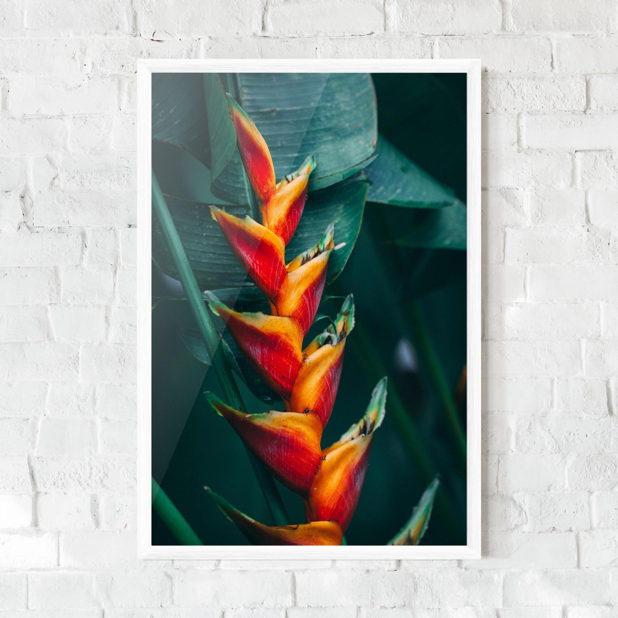 Plakat w Ramie Red Orange Exotic mockup 0