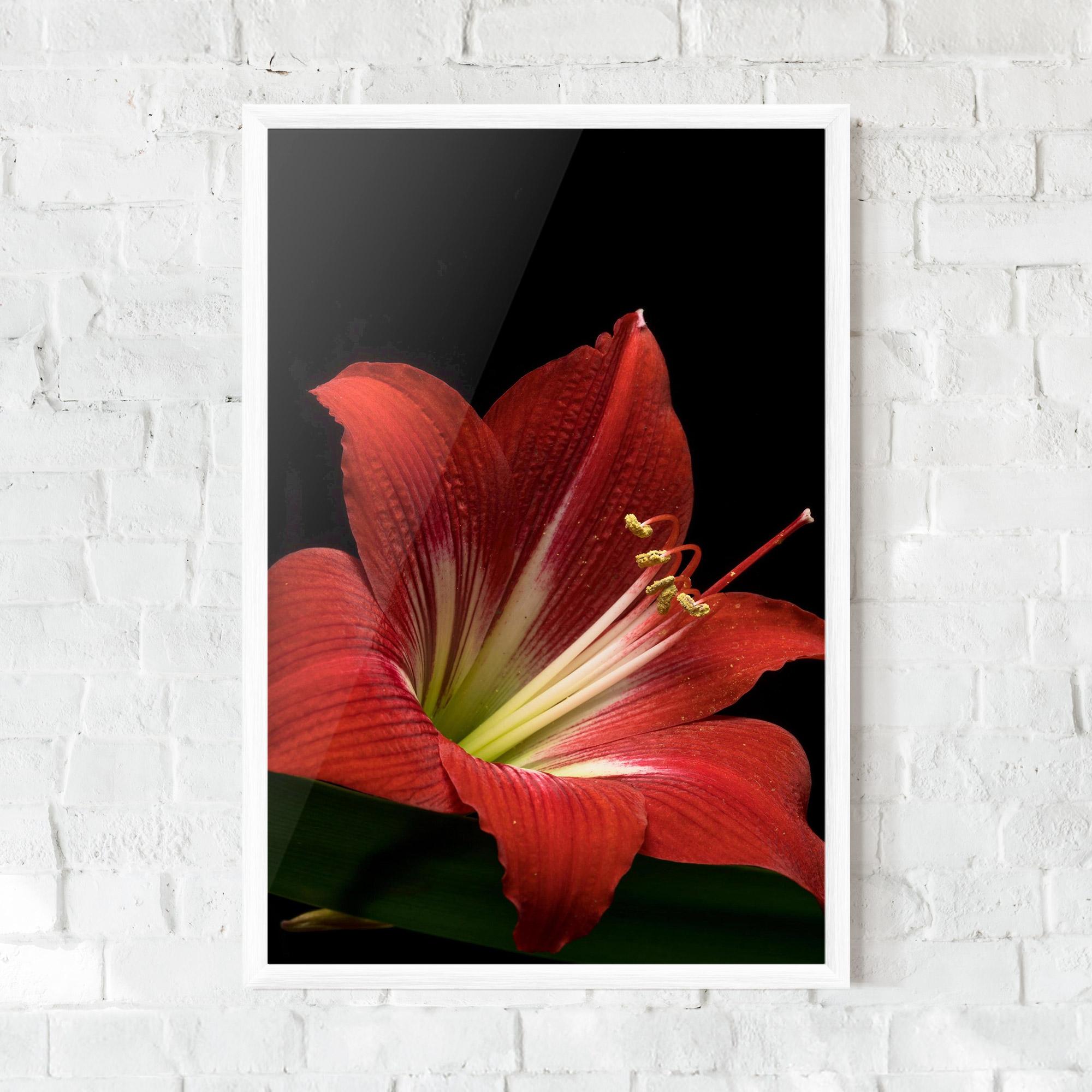 Plakat w Ramie Red Yellow Exotic mockup 0