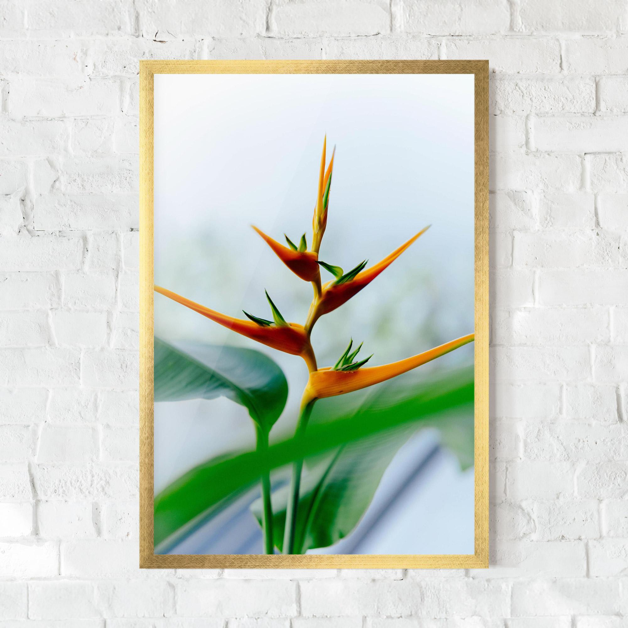 Plakat w Ramie Exotic Orange Green mockup 0