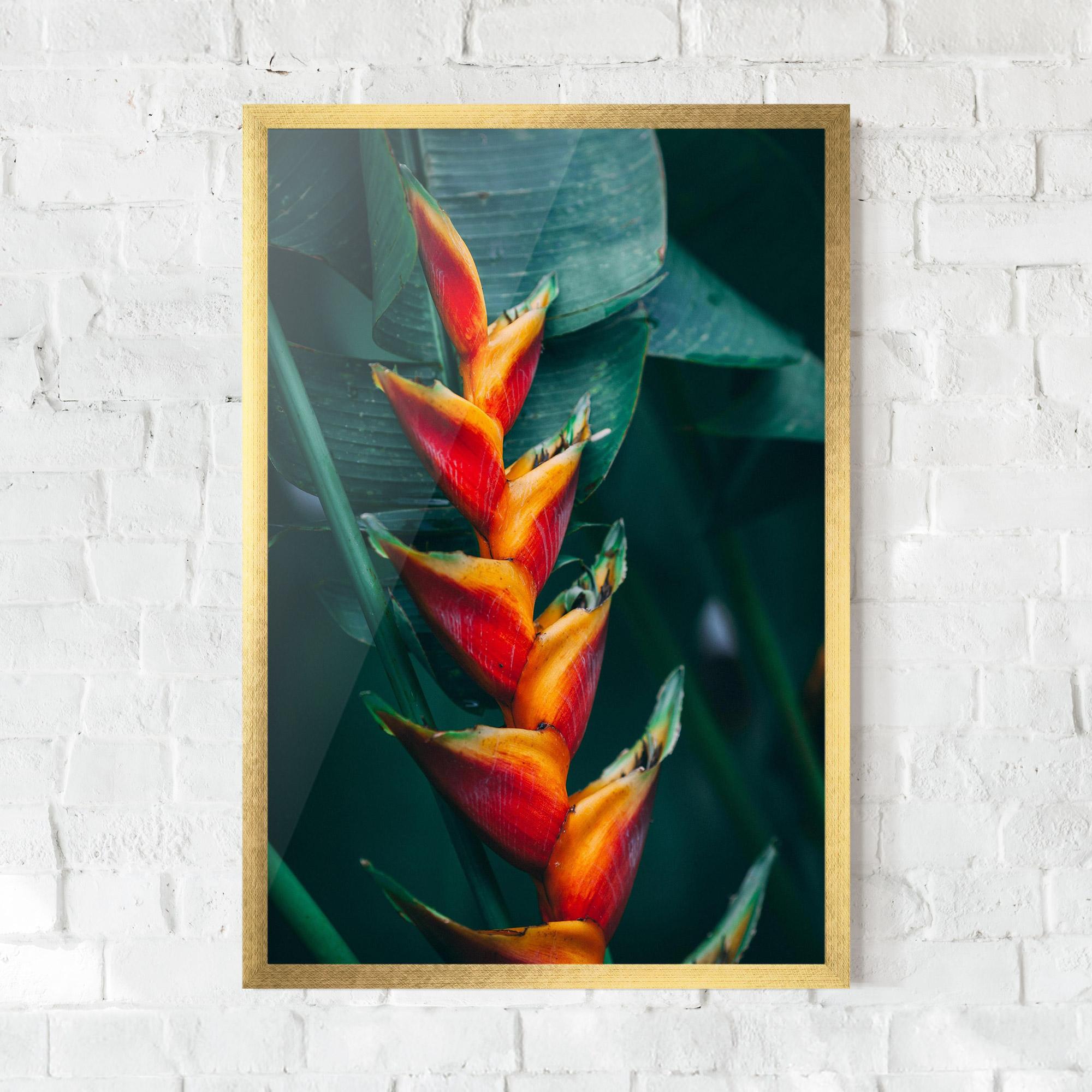 Plakat w Ramie Red Orange Exotic mockup 0