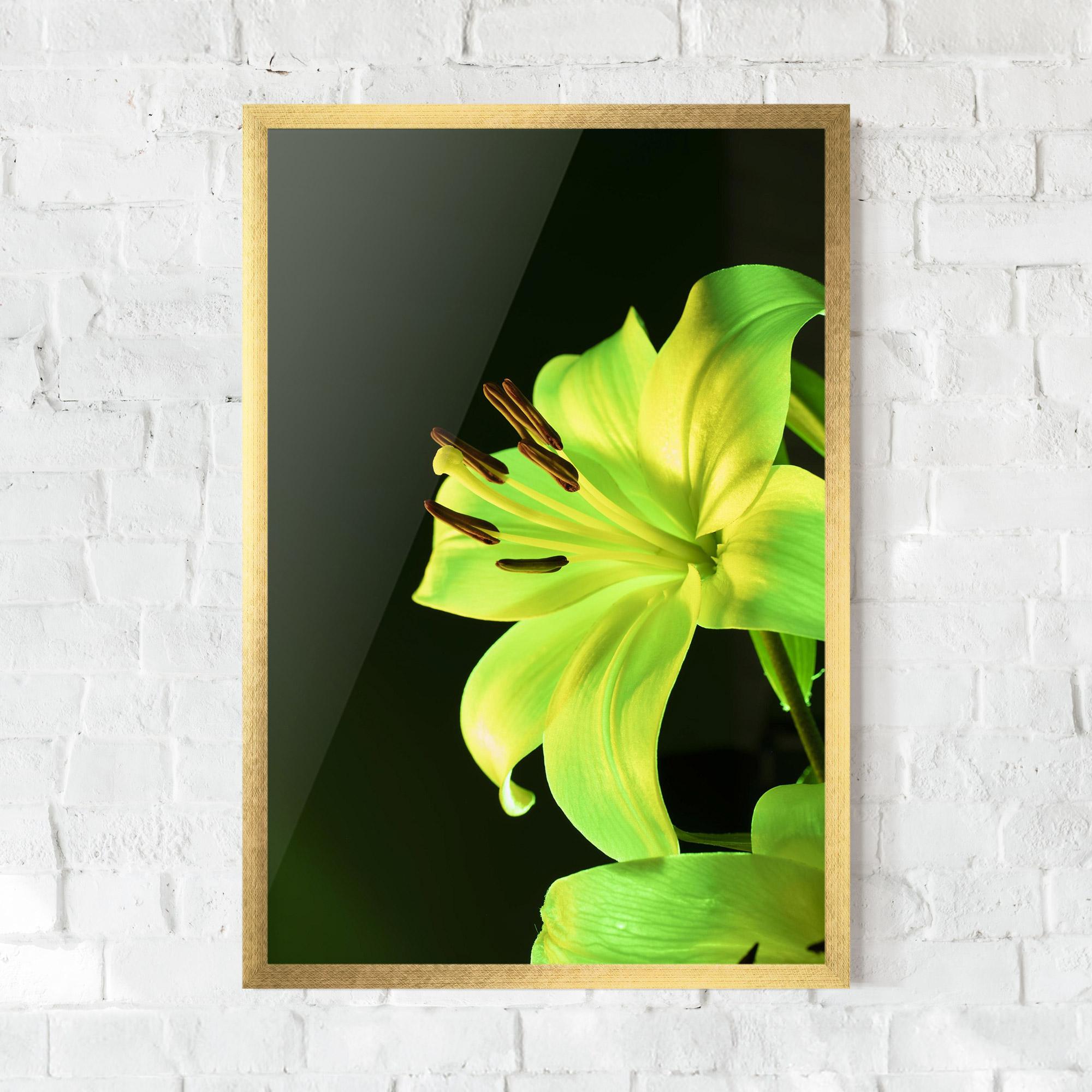 Plakat w Ramie Yellow Green Exotic mockup 0