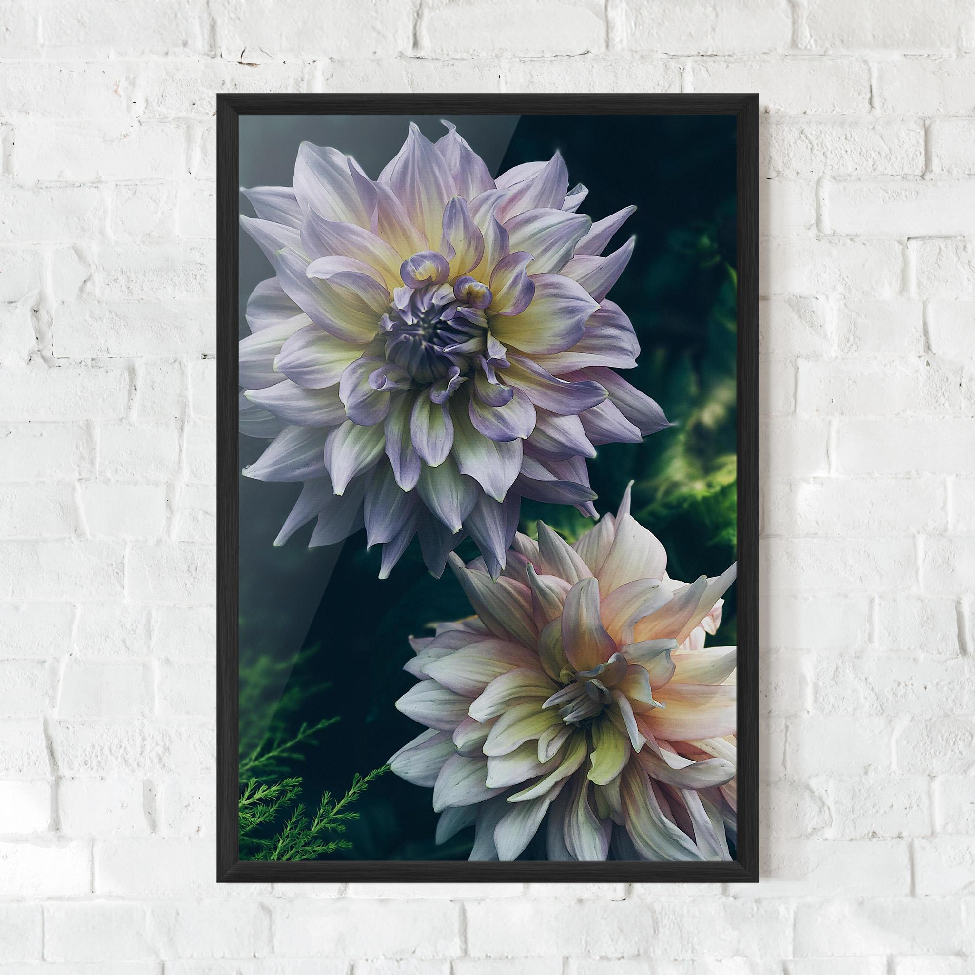 Plakat w Ramie Dahlia Flowers mockup 0