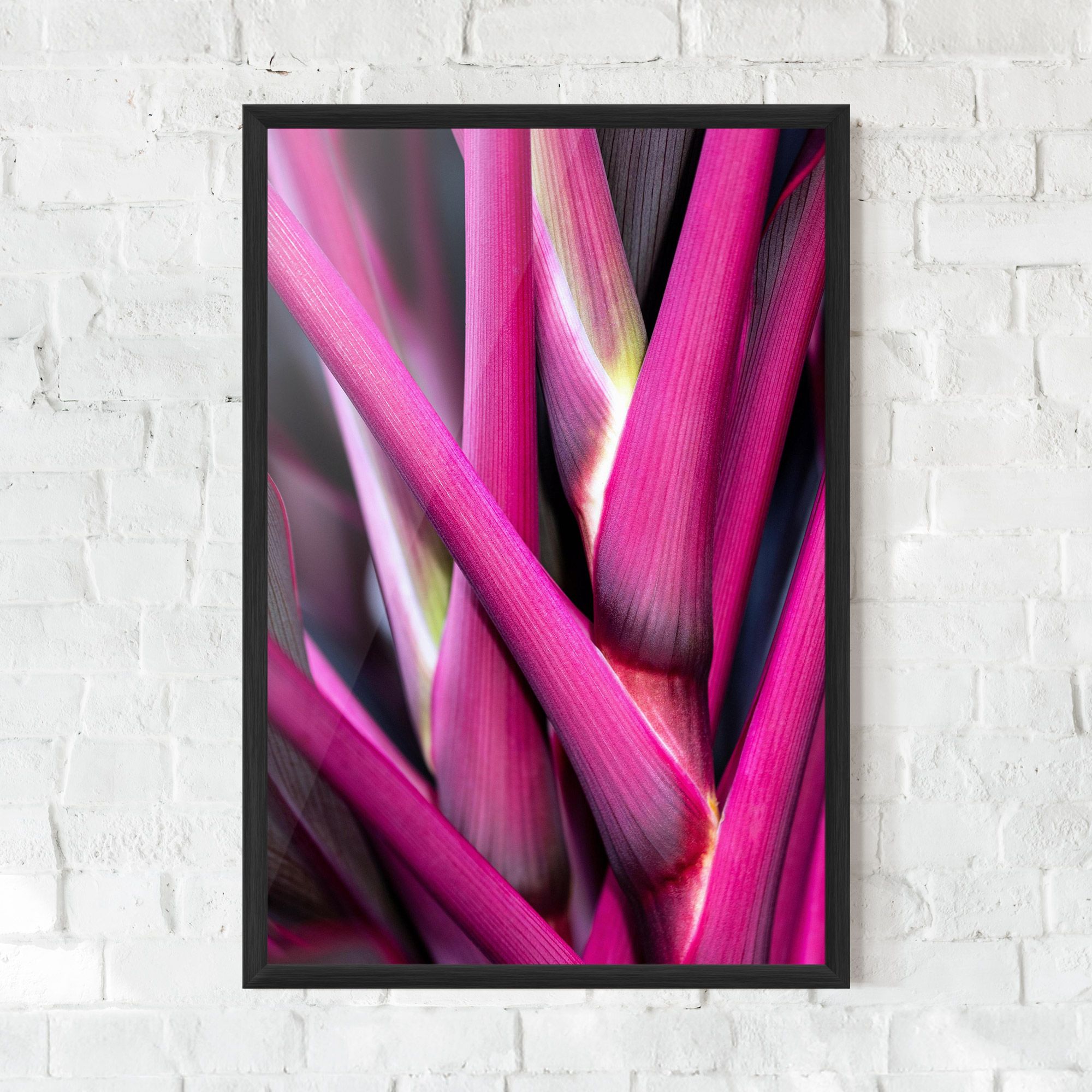 Purple Exotic Plant mockup 0