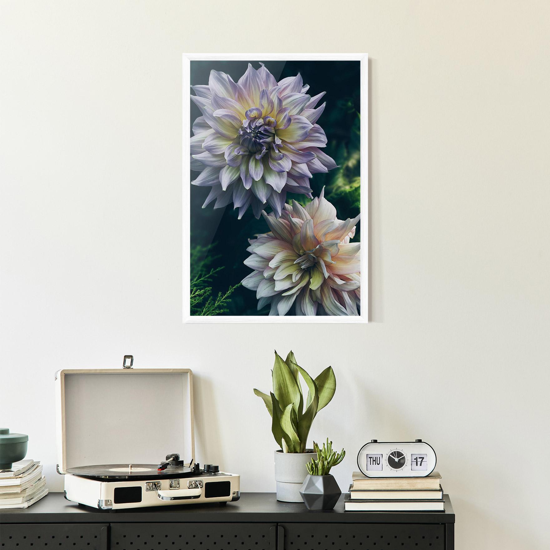 Plakat w Ramie Dahlia Flowers mockup 2