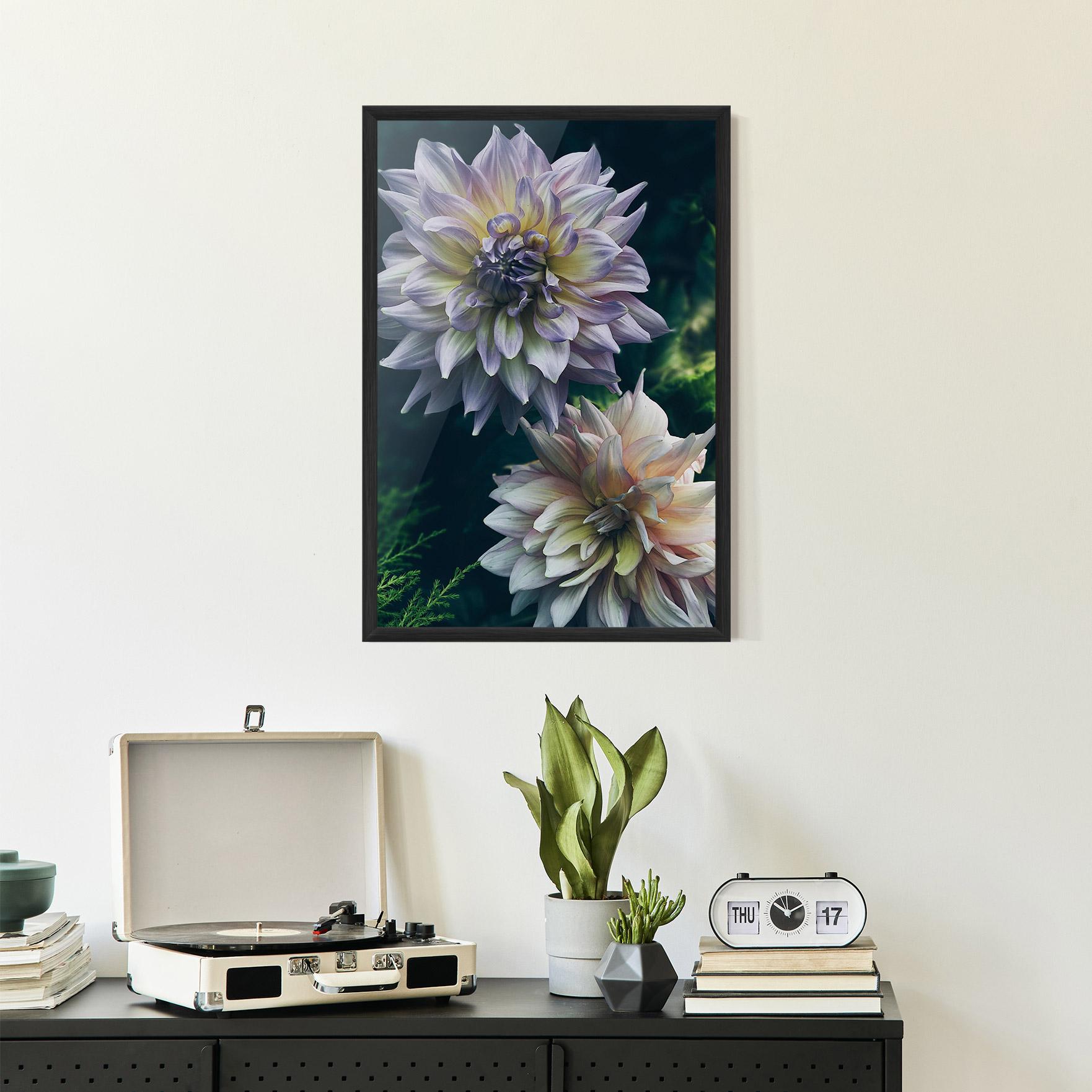 Plakat w Ramie Dahlia Flowers mockup 2
