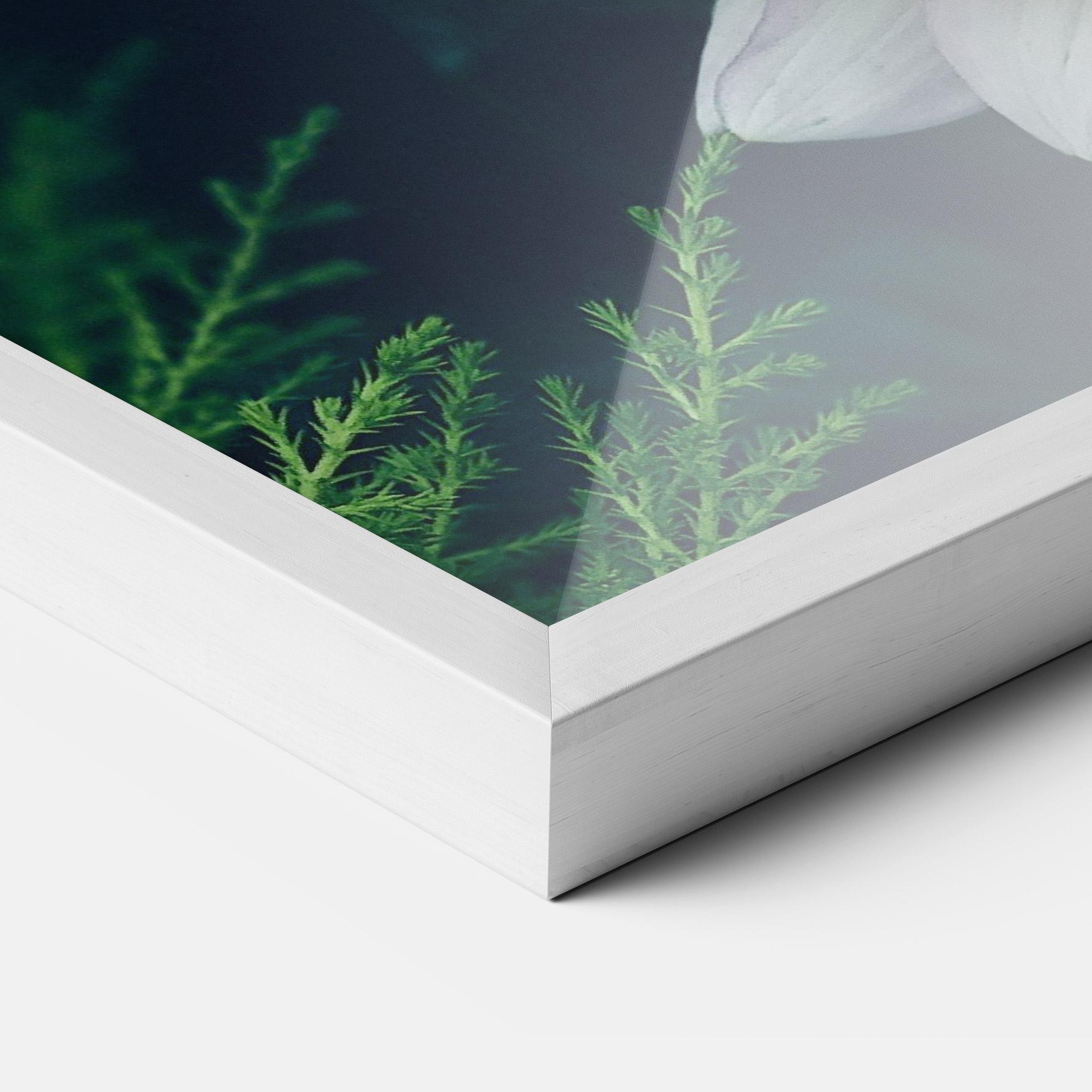 Plakat w Ramie Dahlia Flowers mockup 3