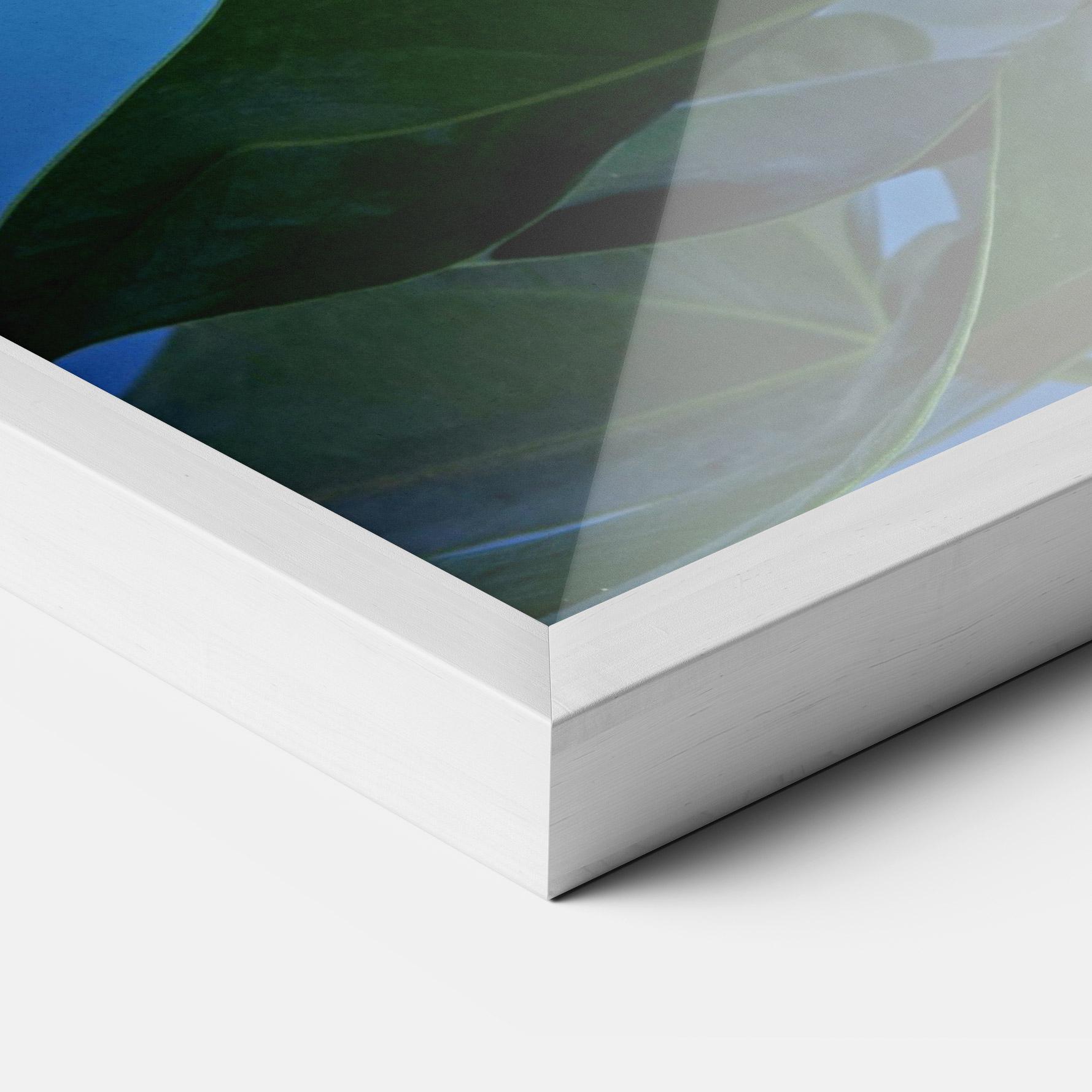 Plakat w Ramie Red Green Exotic mockup 3