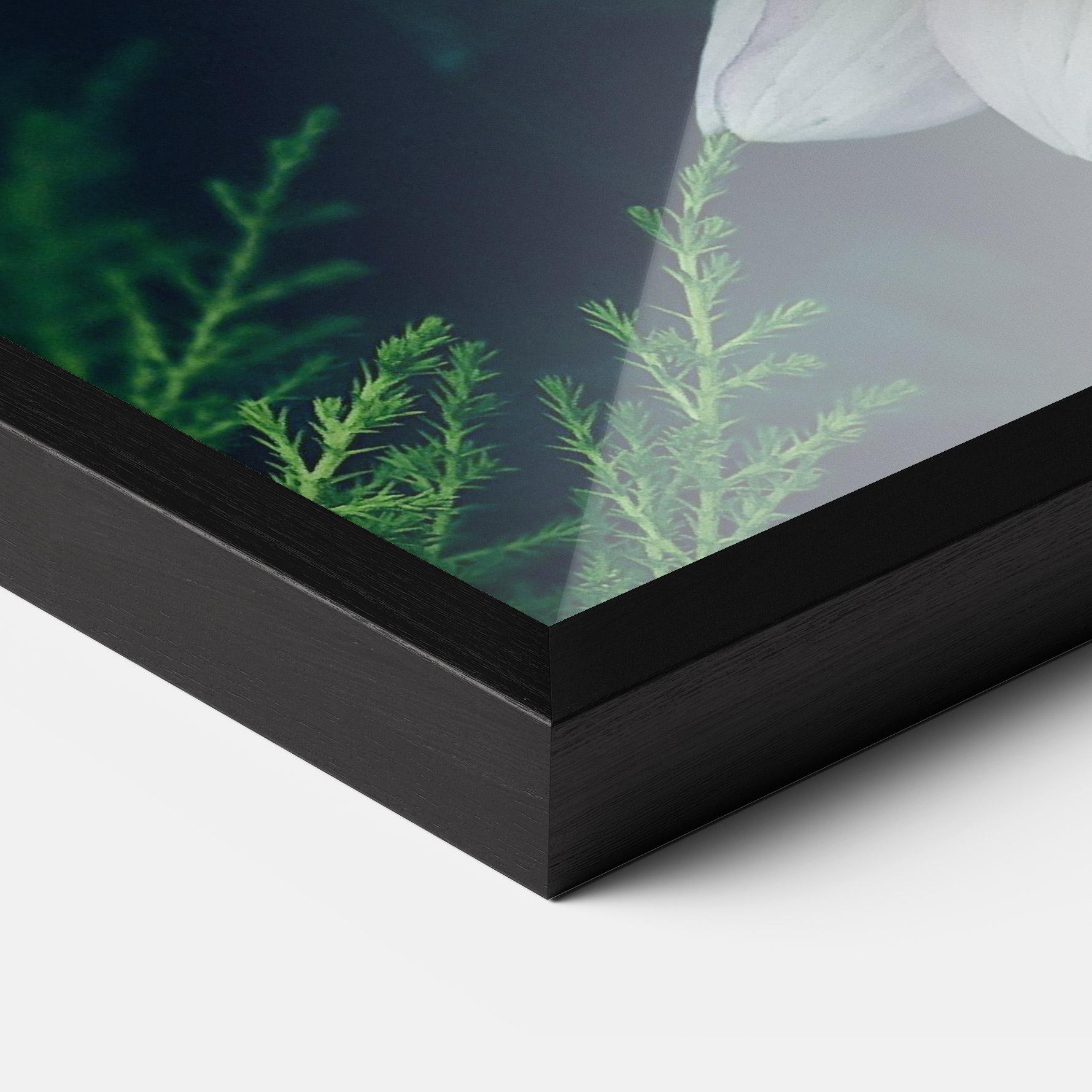 Plakat w Ramie Dahlia Flowers mockup 3