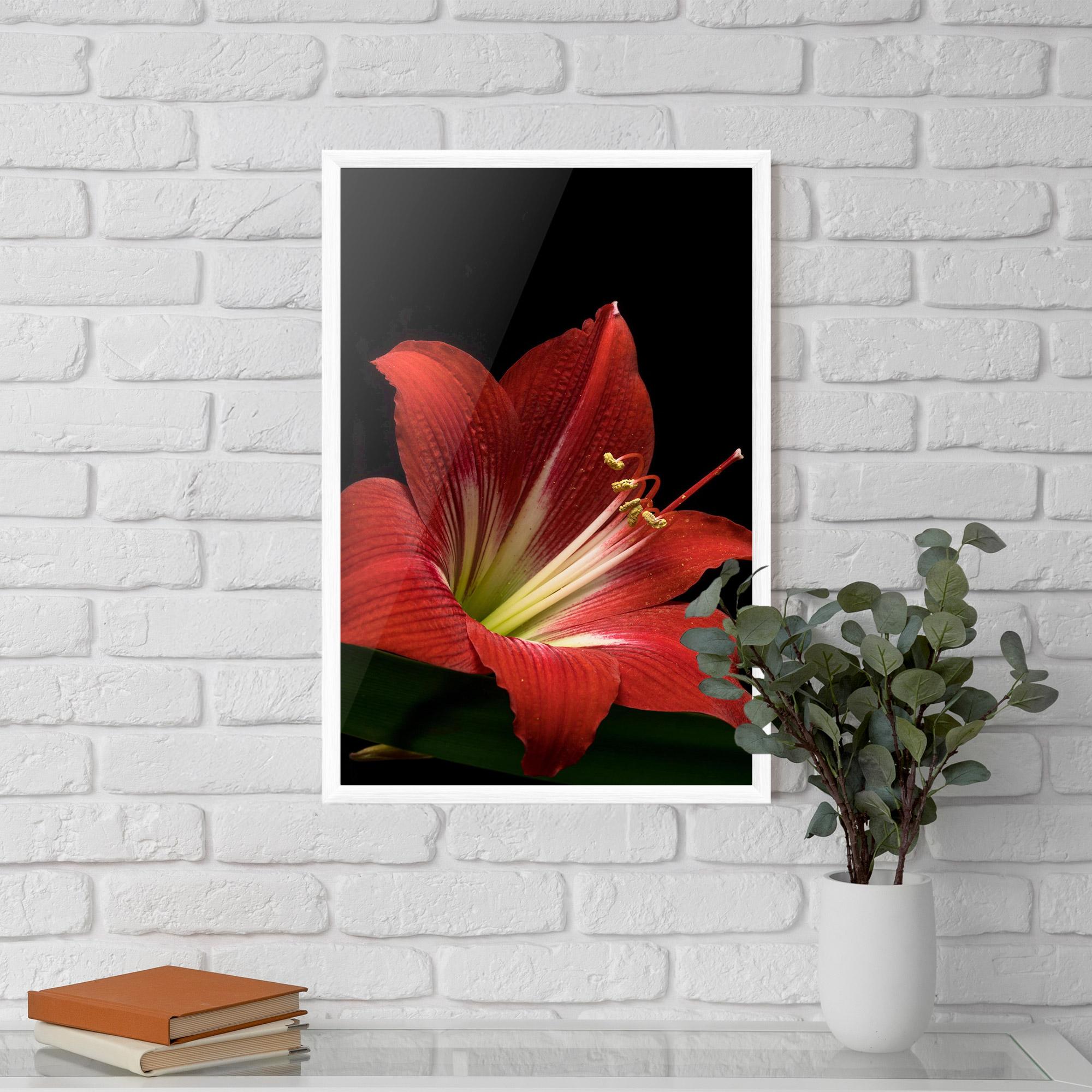 Plakat w Ramie Red Yellow Exotic mockup 5