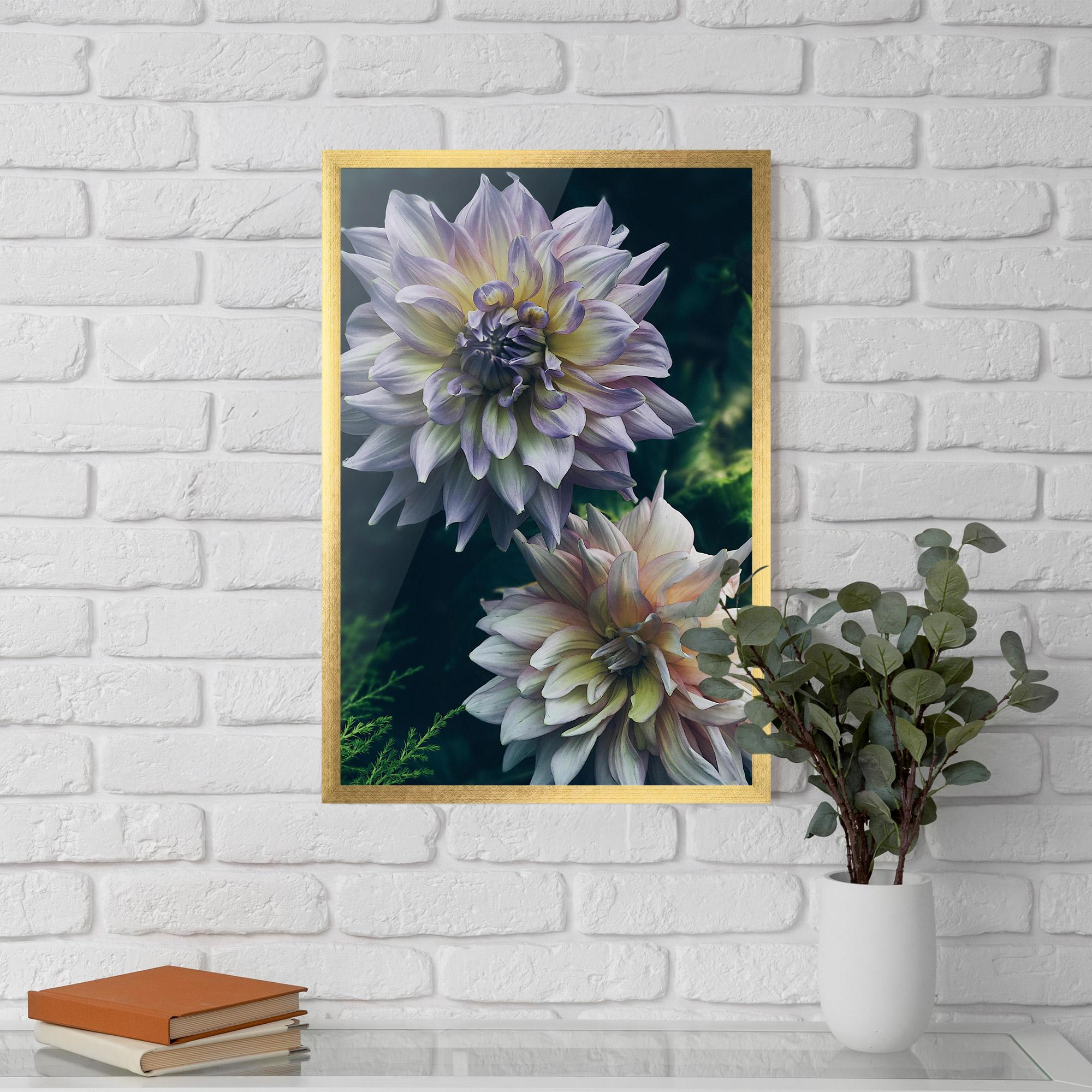 Plakat w Ramie Dahlia Flowers mockup 5