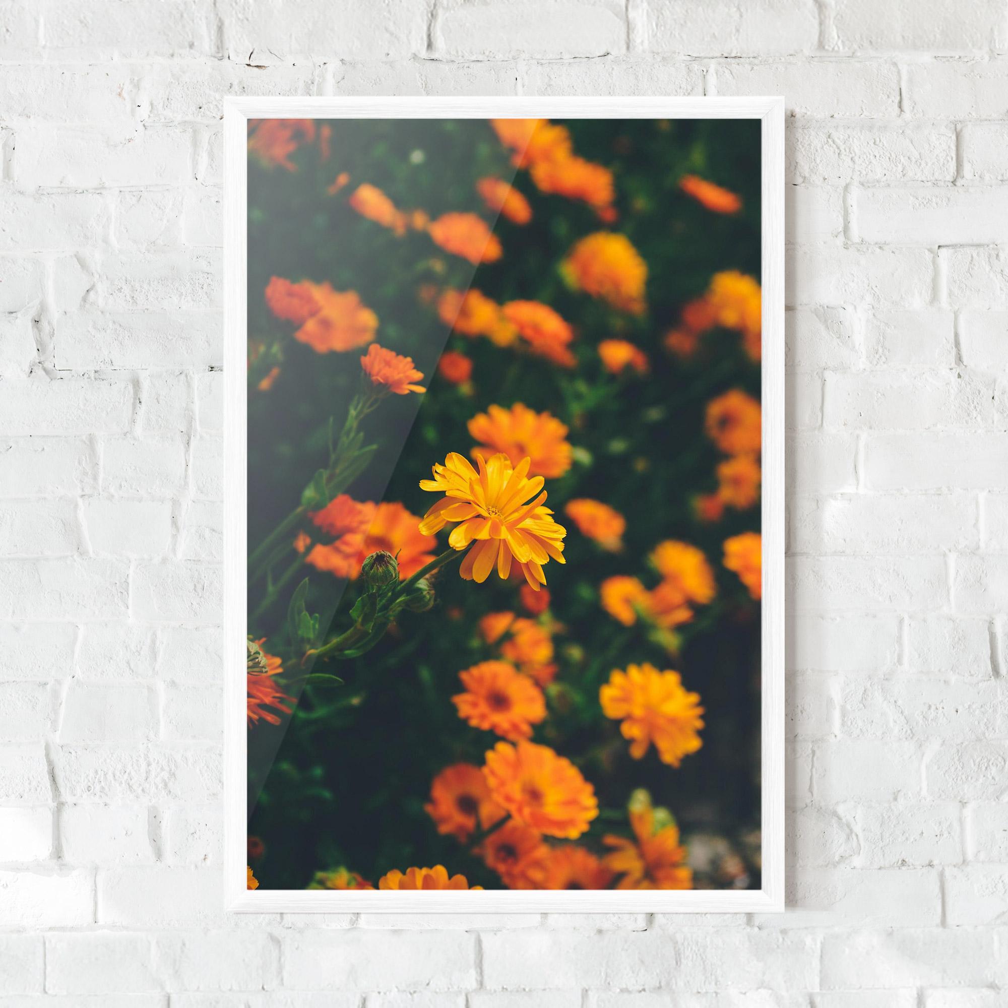 Plakat w Ramie Garden Orange Flowers mockup 0