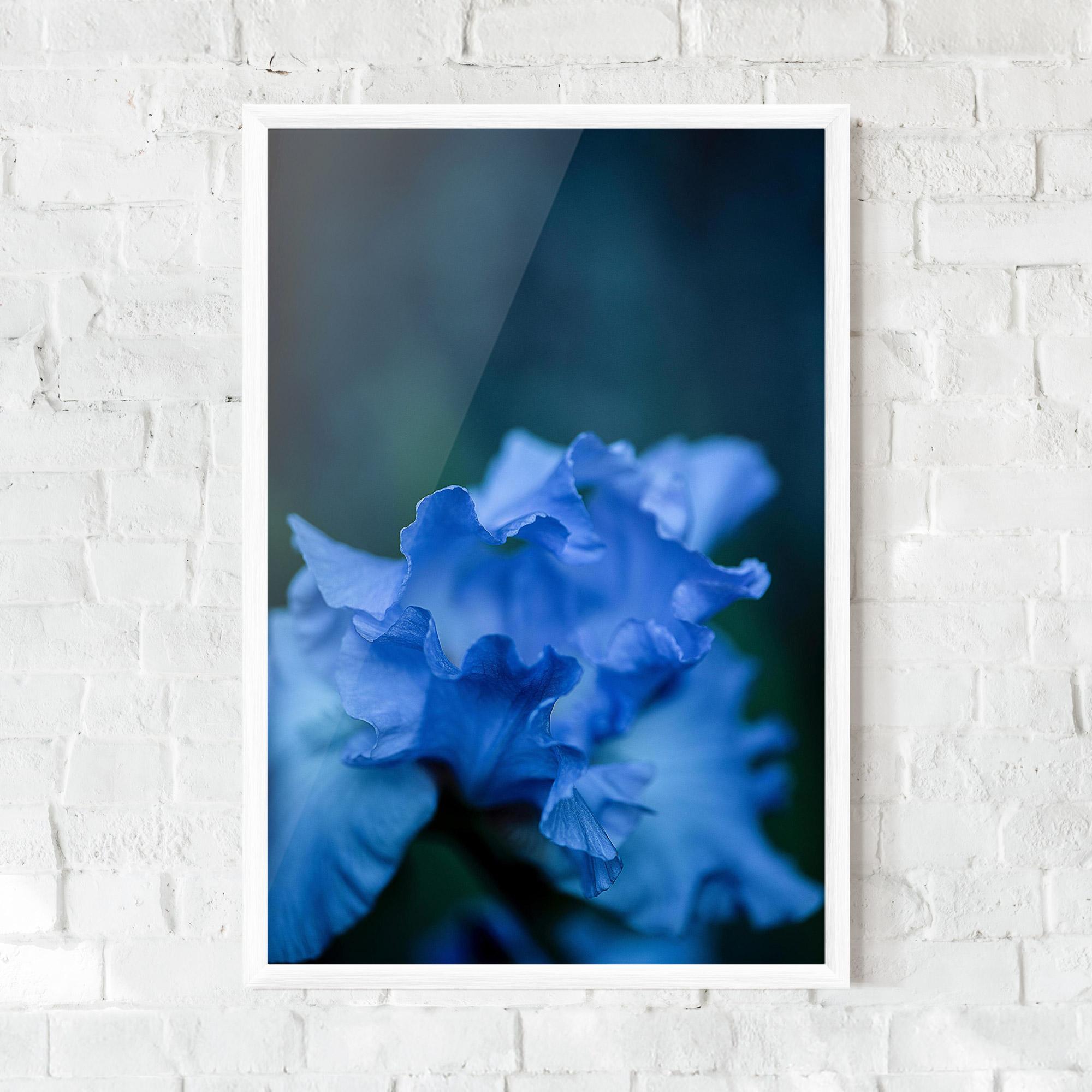 Plakat w Ramie Ocean Blue Iris mockup 0