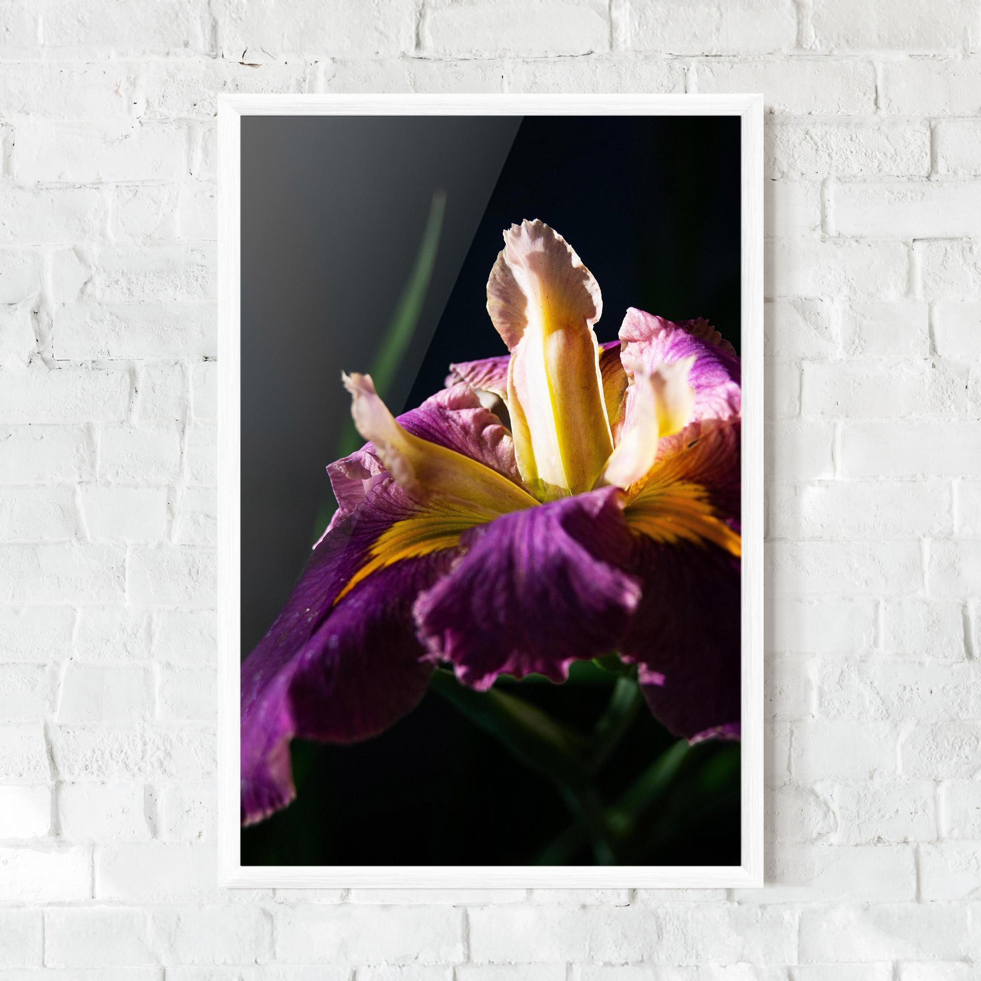 Plakat w Ramie Pastel Yellow Iris mockup 0