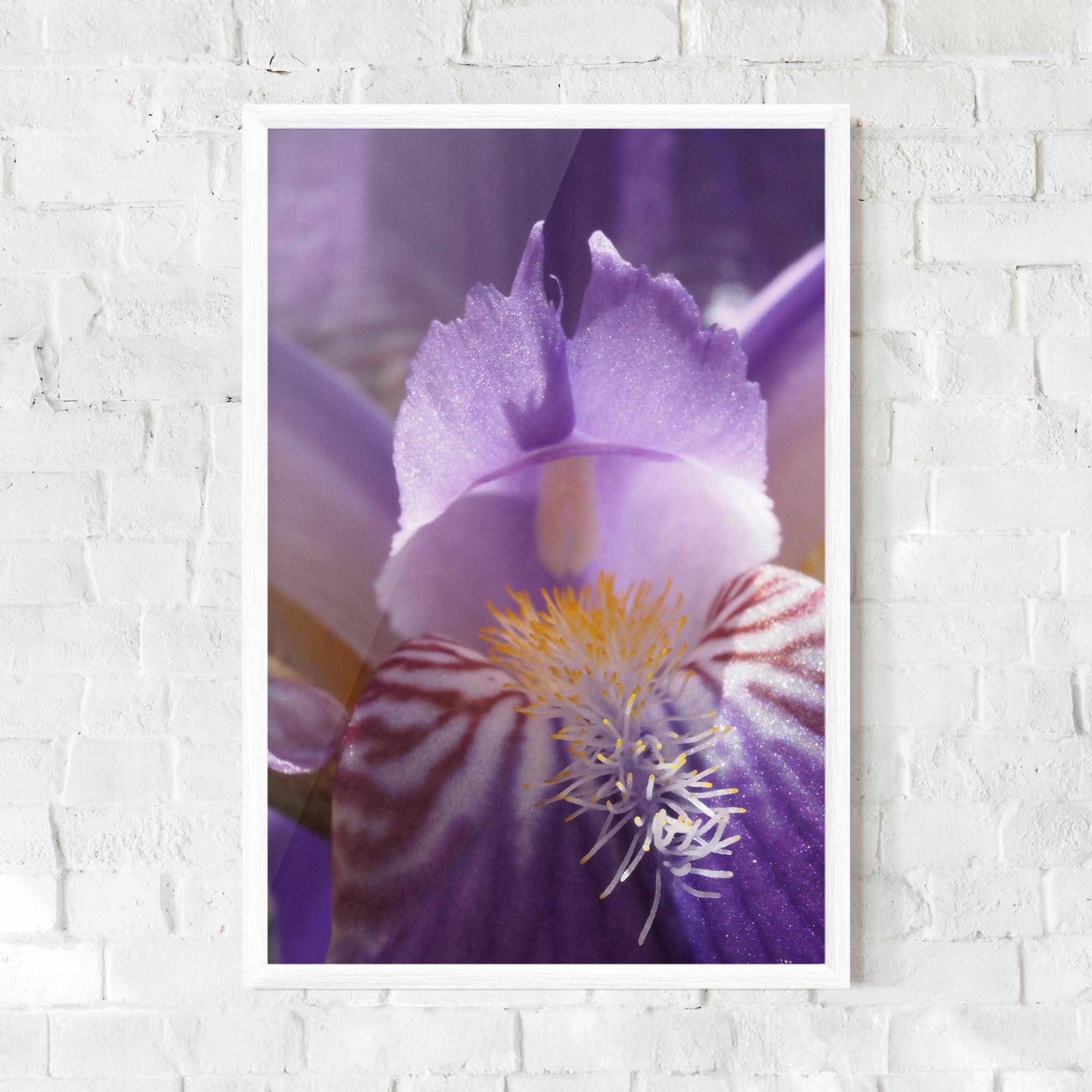 Plakat w Ramie Purple Iris Close Up mockup 0