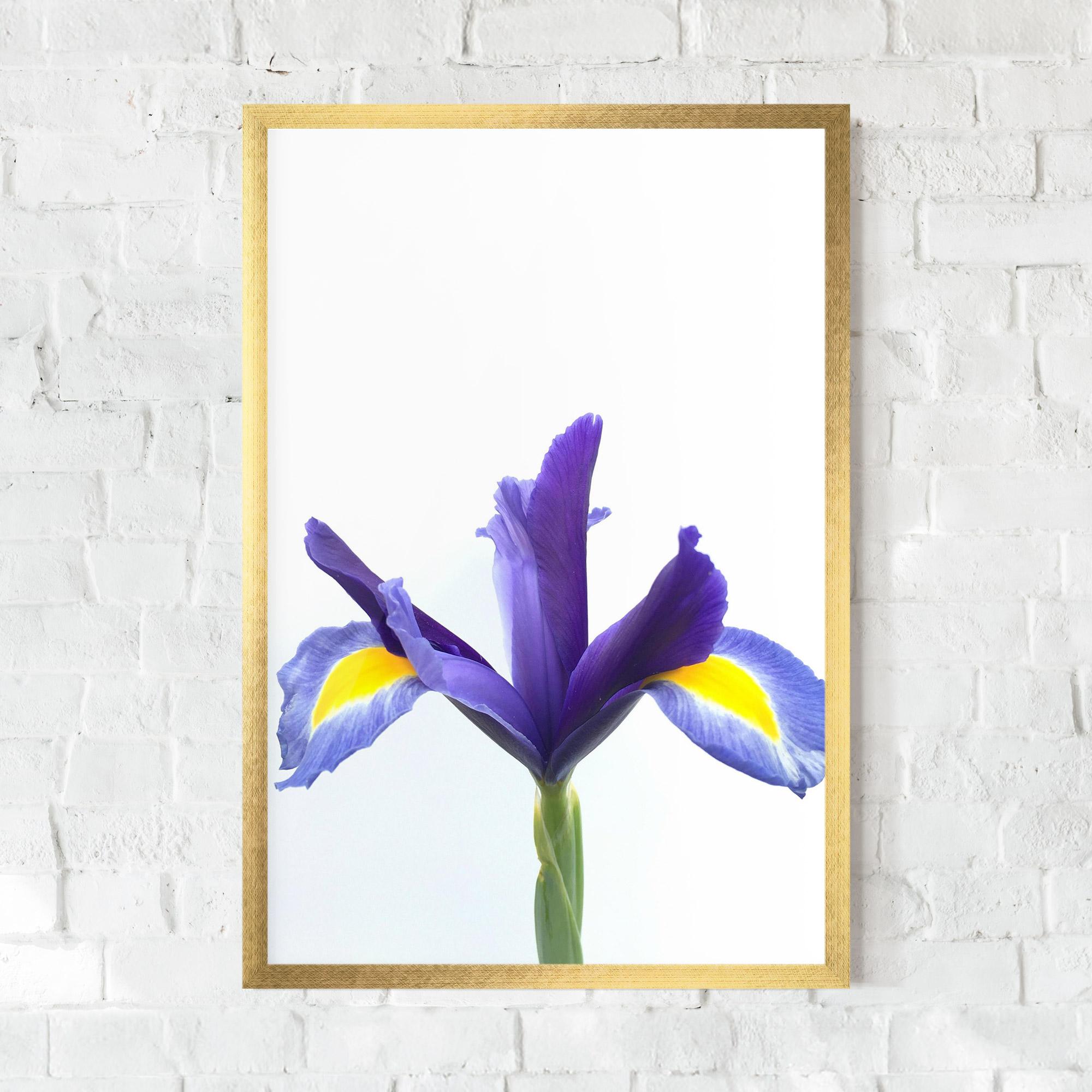 Plakat w Ramie Yellow Color Iris mockup 0