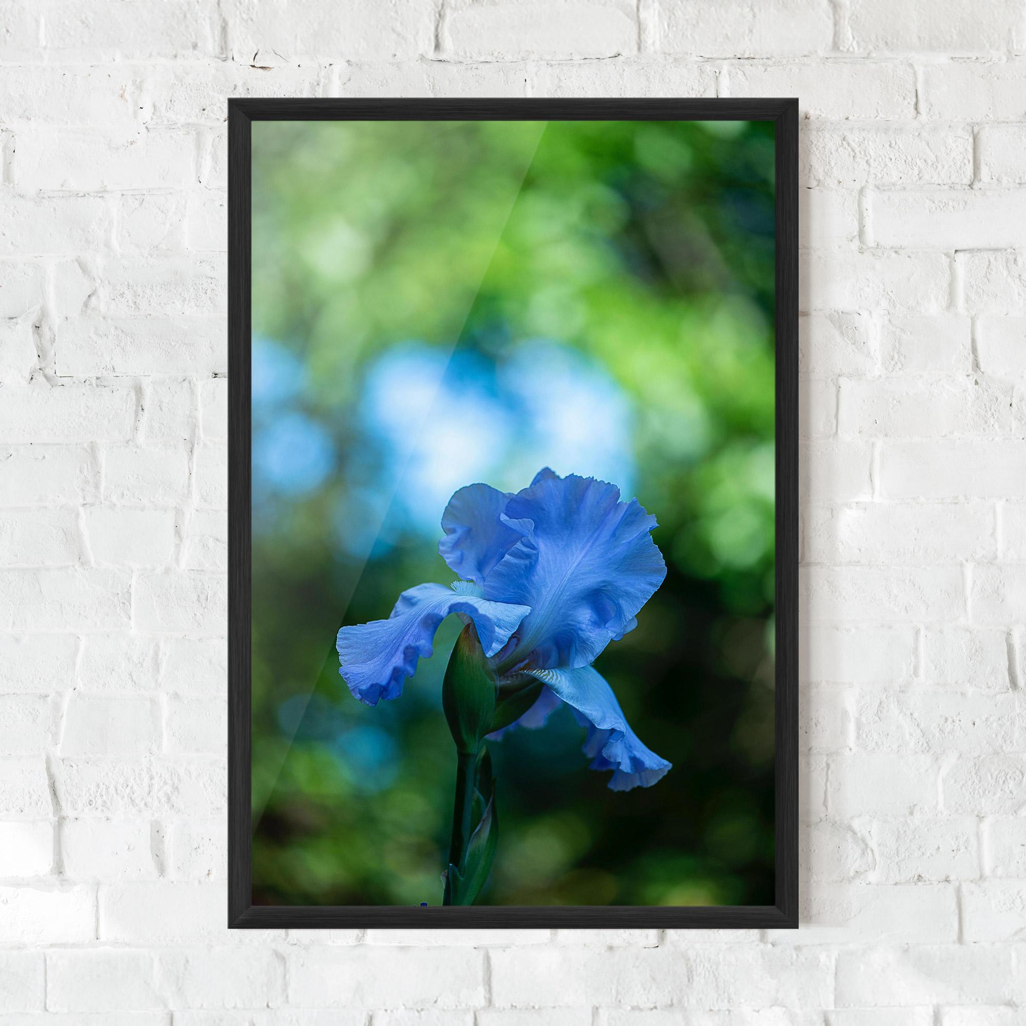 Plakat w Ramie Blue Iris In The Garden mockup 0