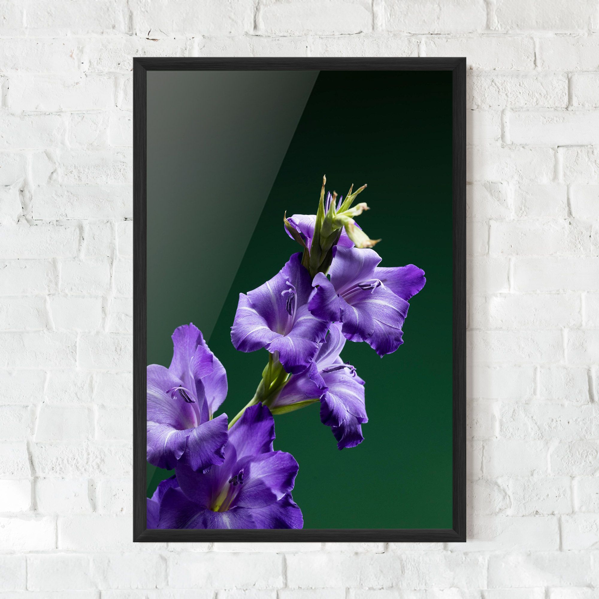 Iris On Green mockup 0