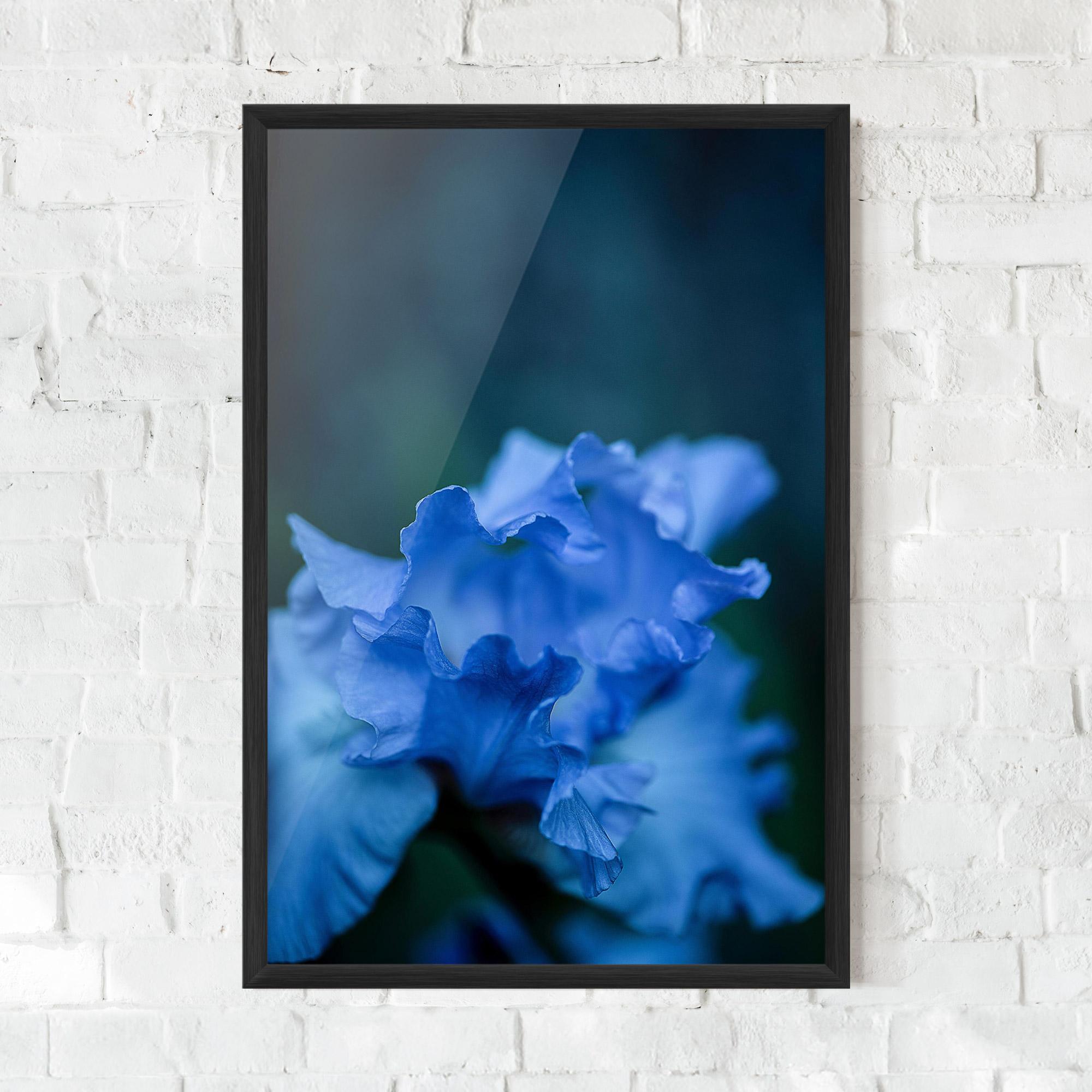 Plakat w Ramie Ocean Blue Iris mockup 0
