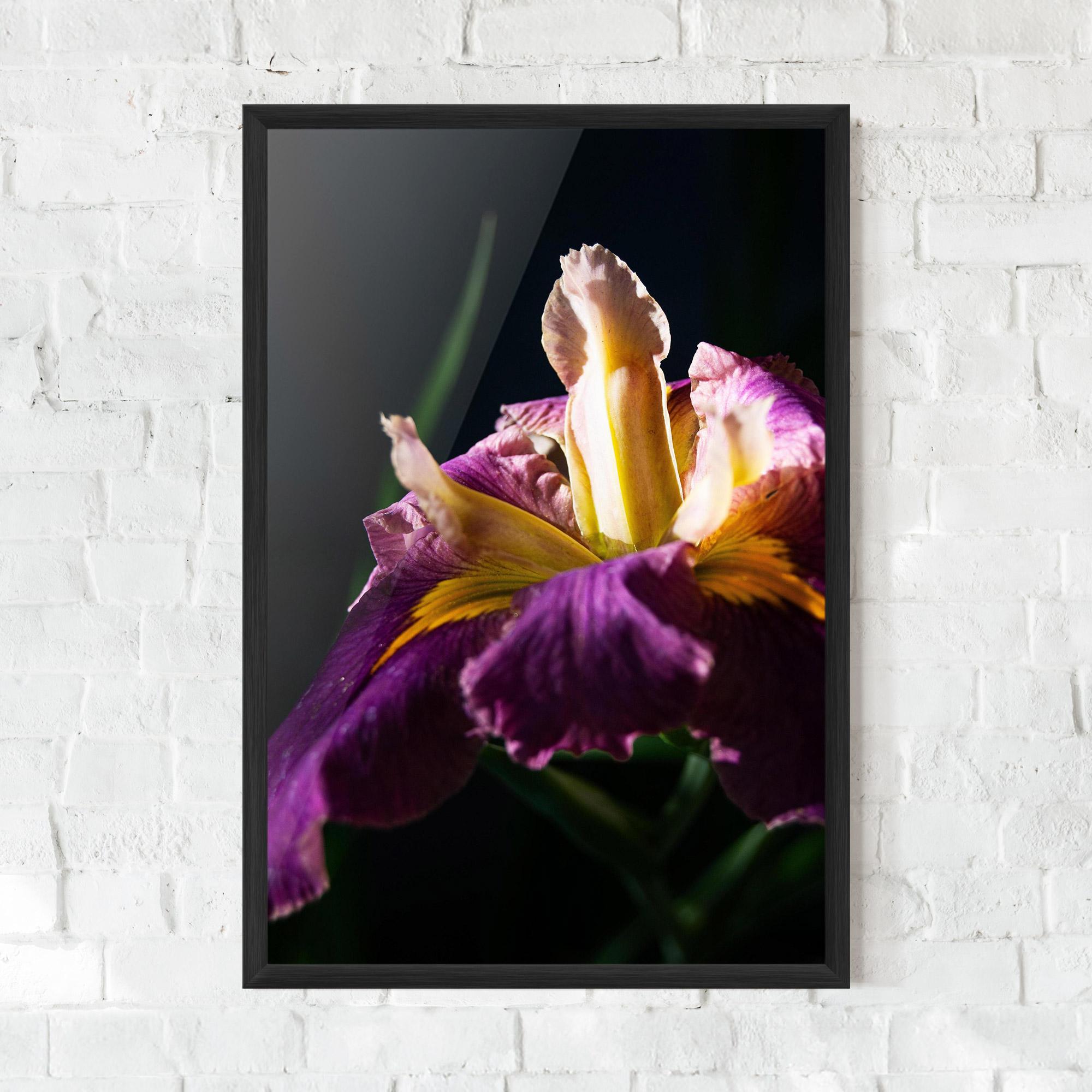 Plakat w Ramie Pastel Yellow Iris mockup 0