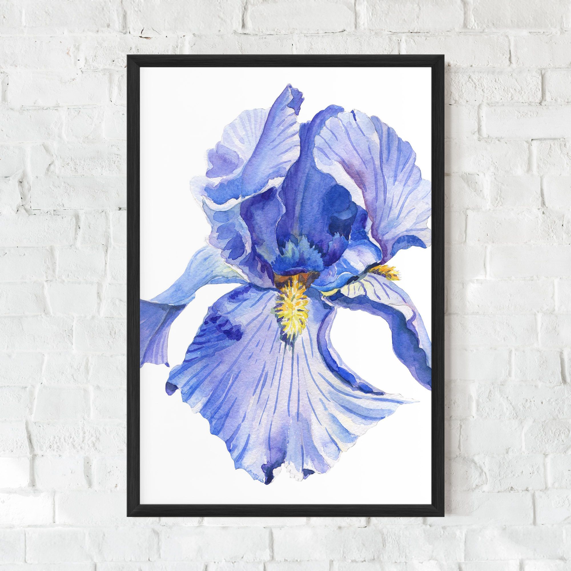 Purple Iris On White mockup 0