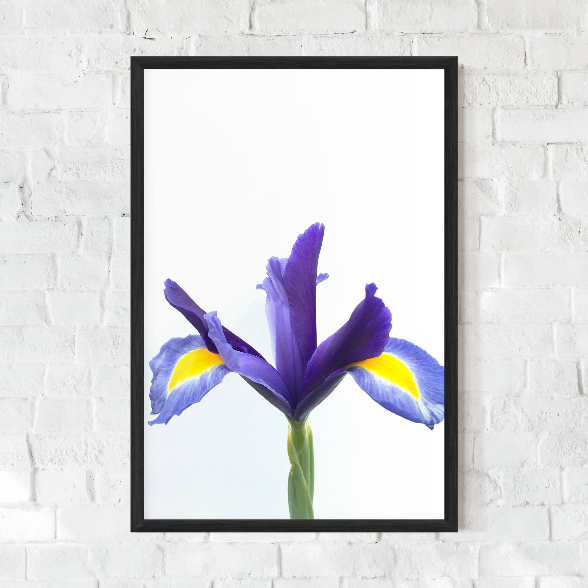 Plakat w Ramie Yellow Color Iris mockup 0