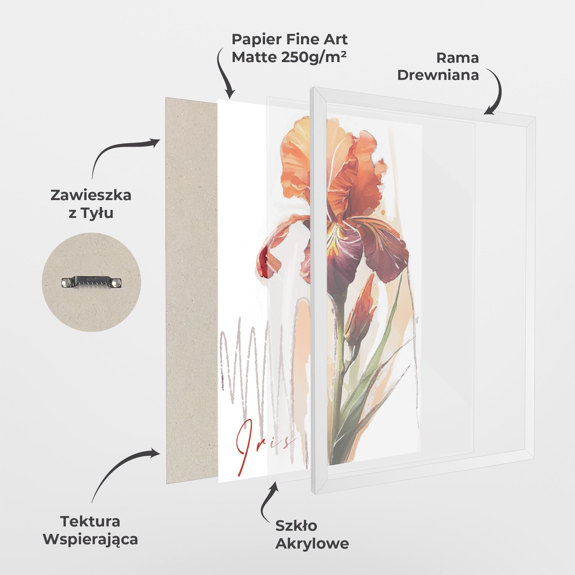 Orange Iris mockup 1