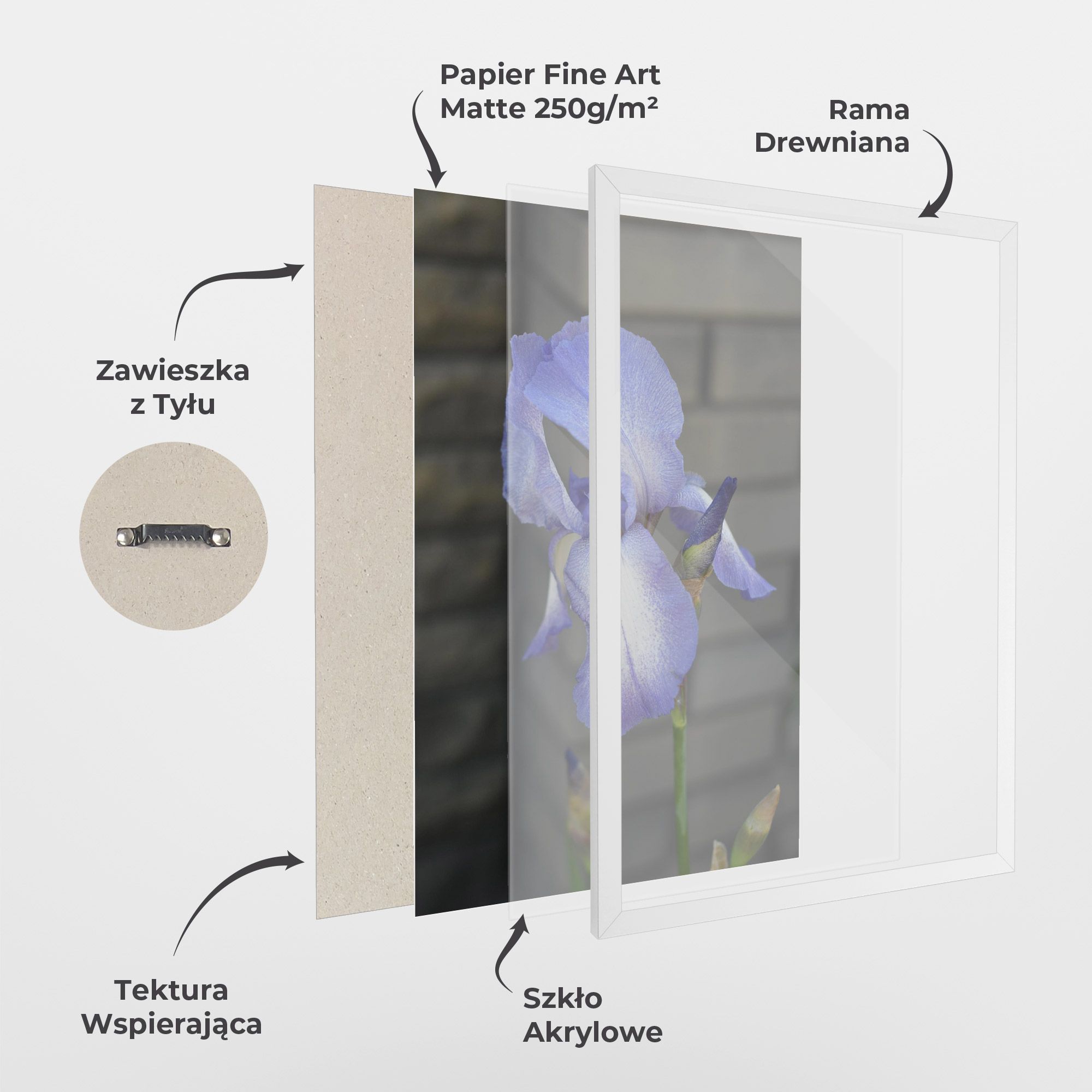 Purple Iris On Gray mockup 1